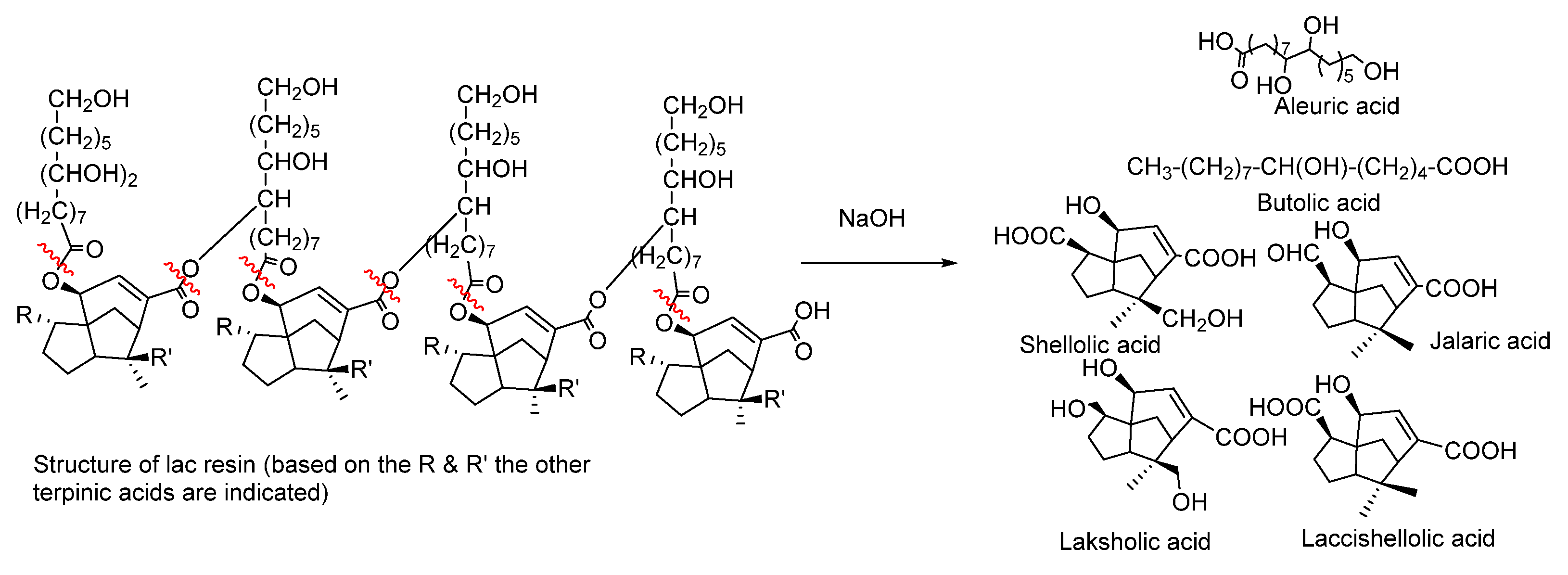 Suschem 04 00001 g001 550