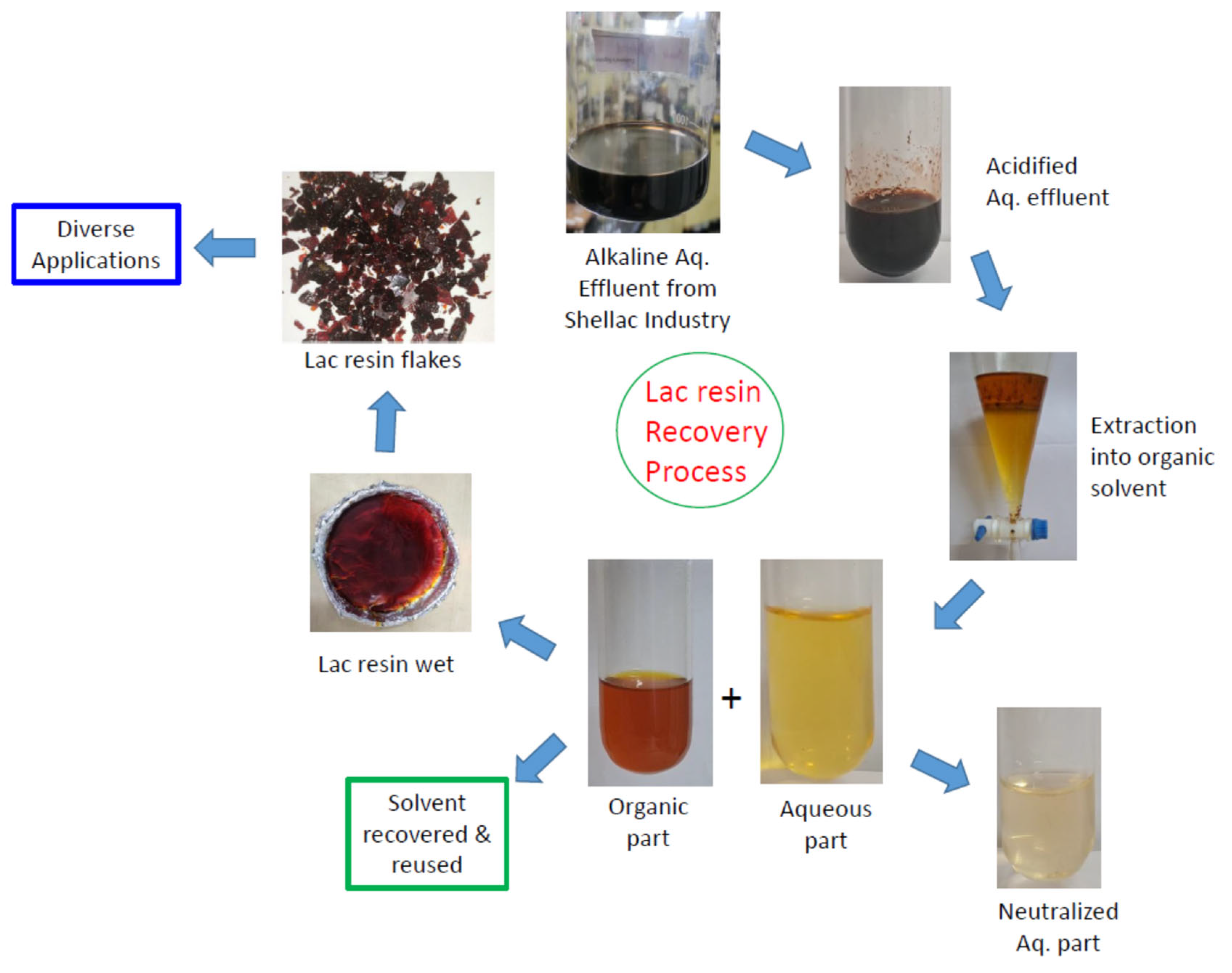 Suschem 04 00001 g003 550