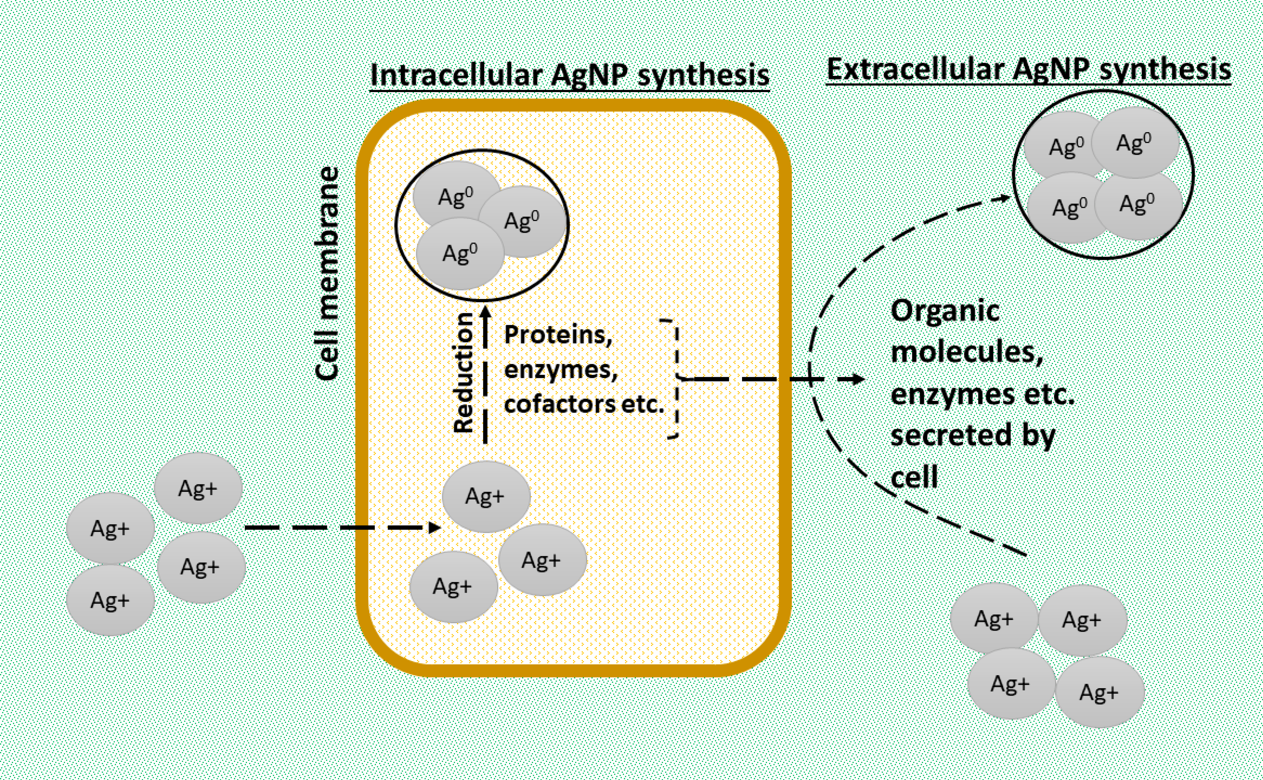 Suschem 04 00007 g002 Suschem 04 00007 g002