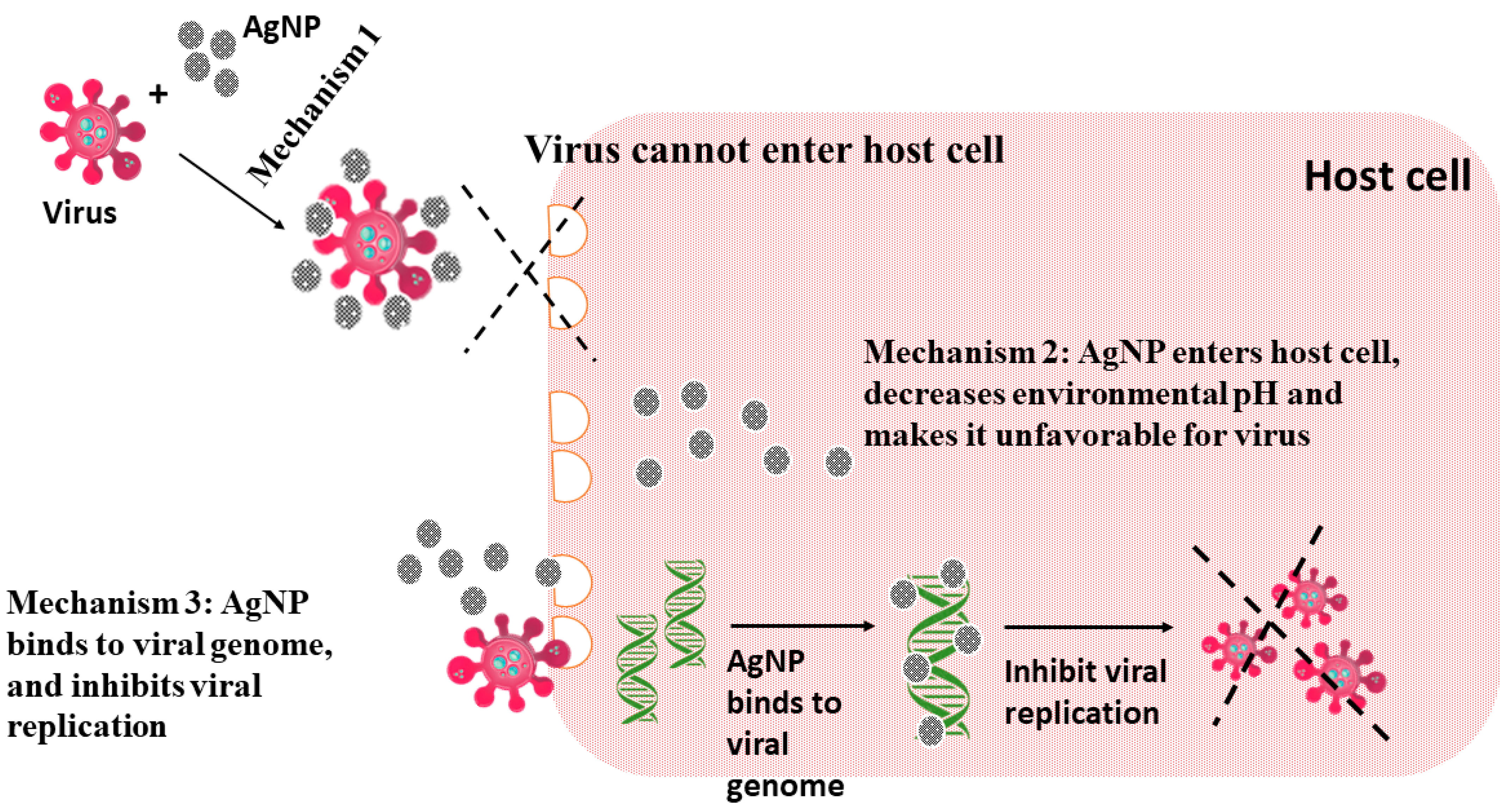 Suschem 04 00007 g006 Suschem 04 00007 g006
