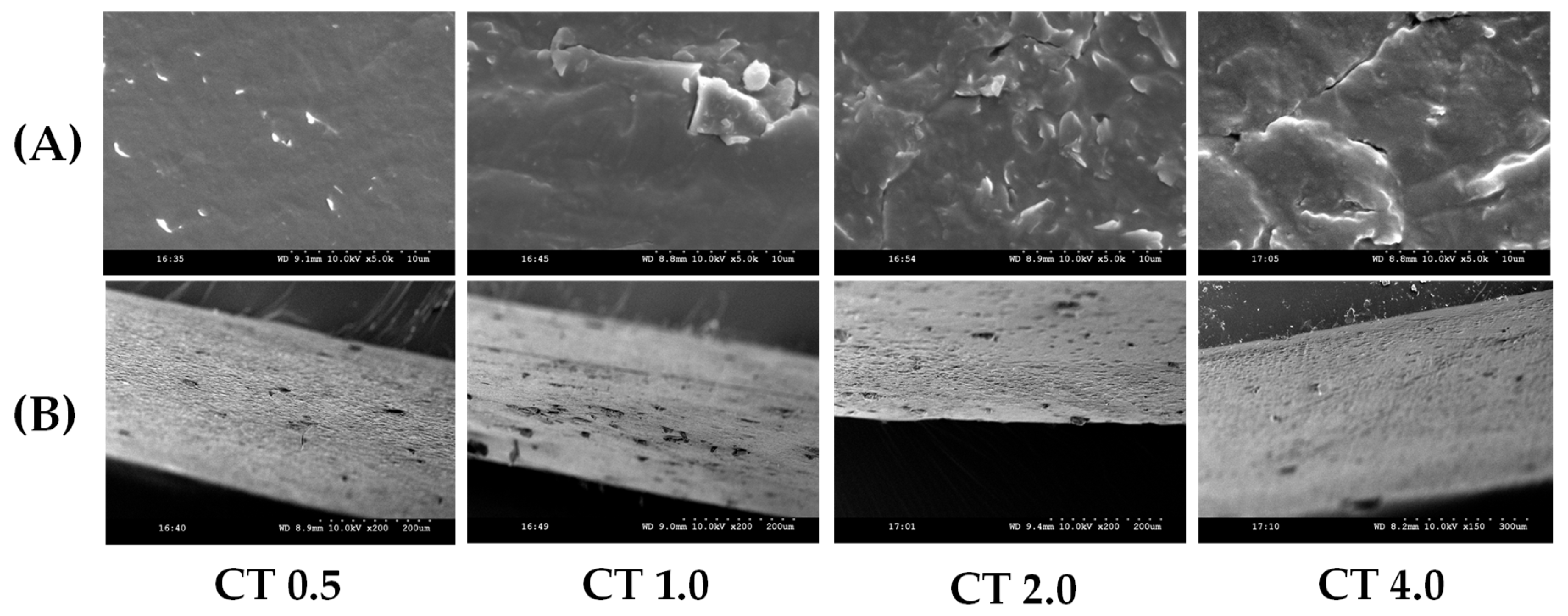 Suschem 04 00008 g010 Suschem 04 00008 g010