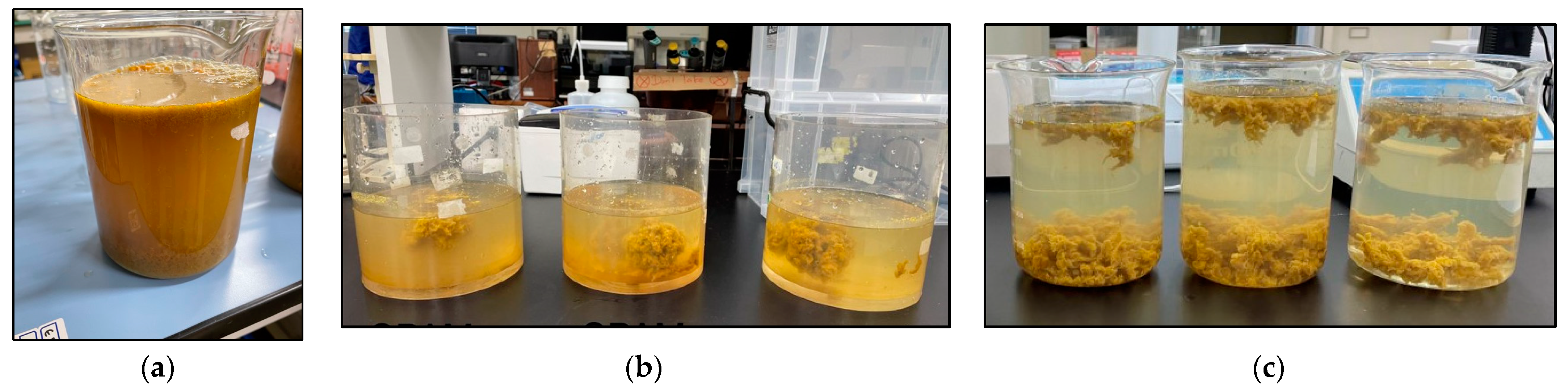 Suschem 04 00010 g010 Suschem 04 00010 g010