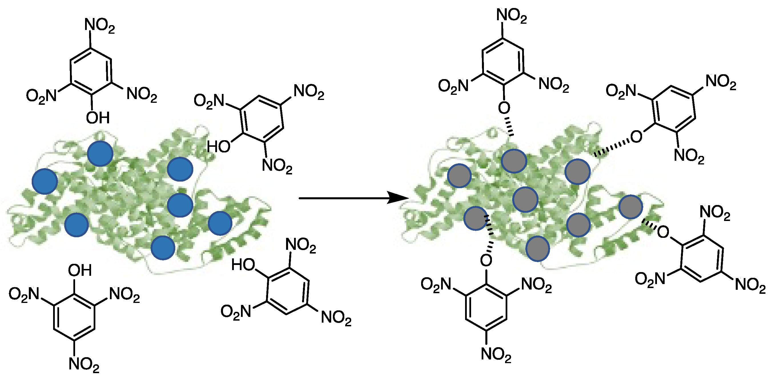 Suschem 04 00017 sch002