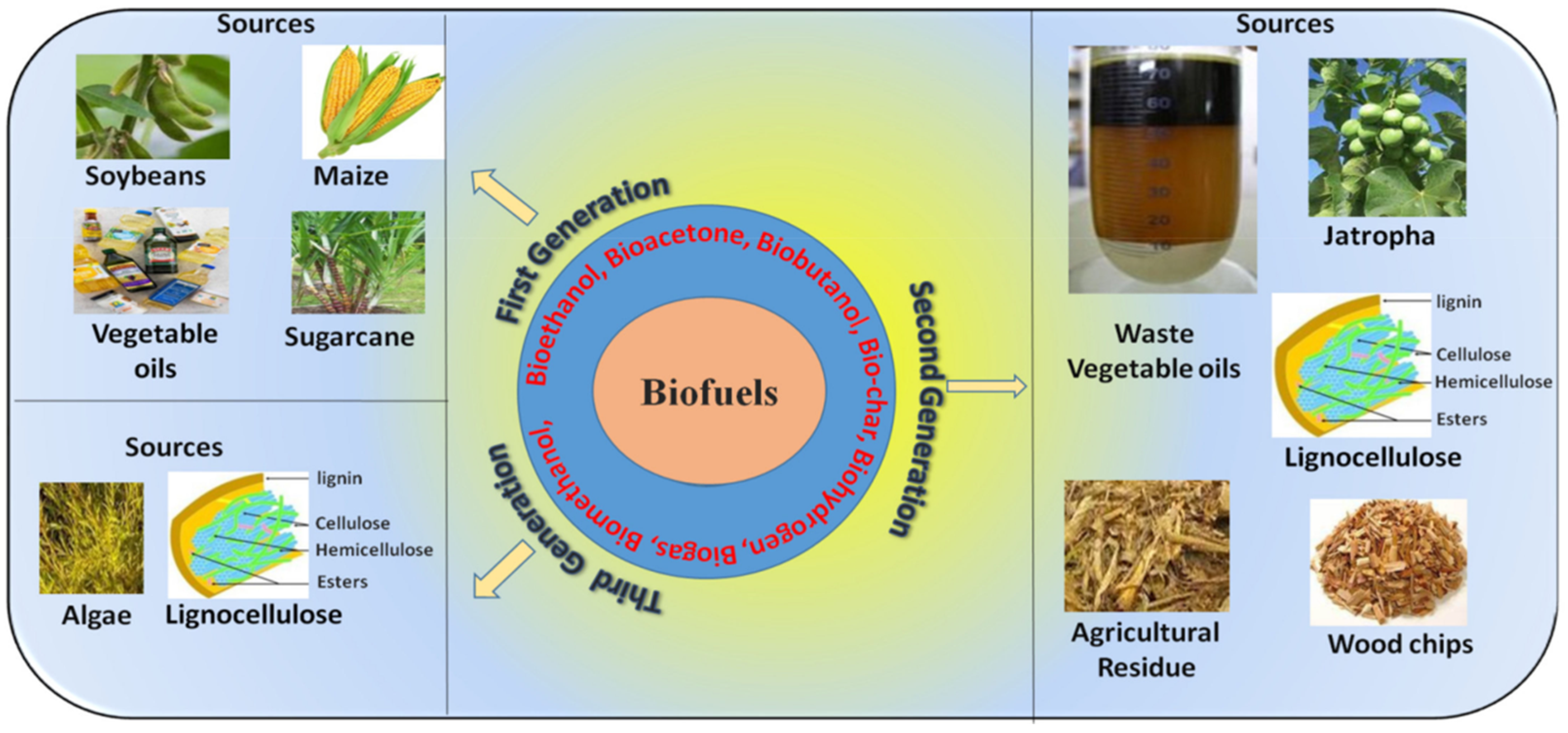 Suschem 05 00004 g007