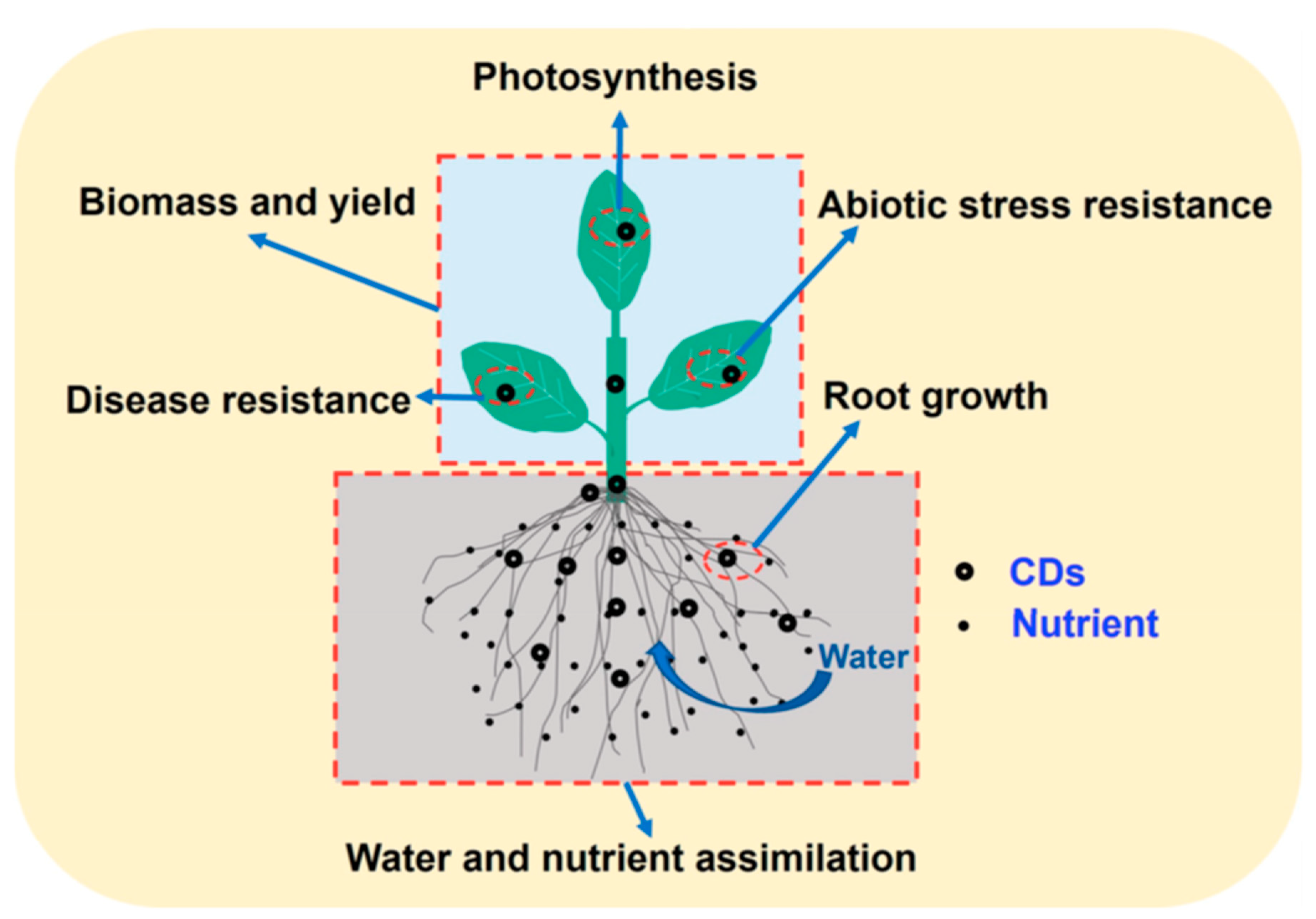 Suschem 05 00007 g005