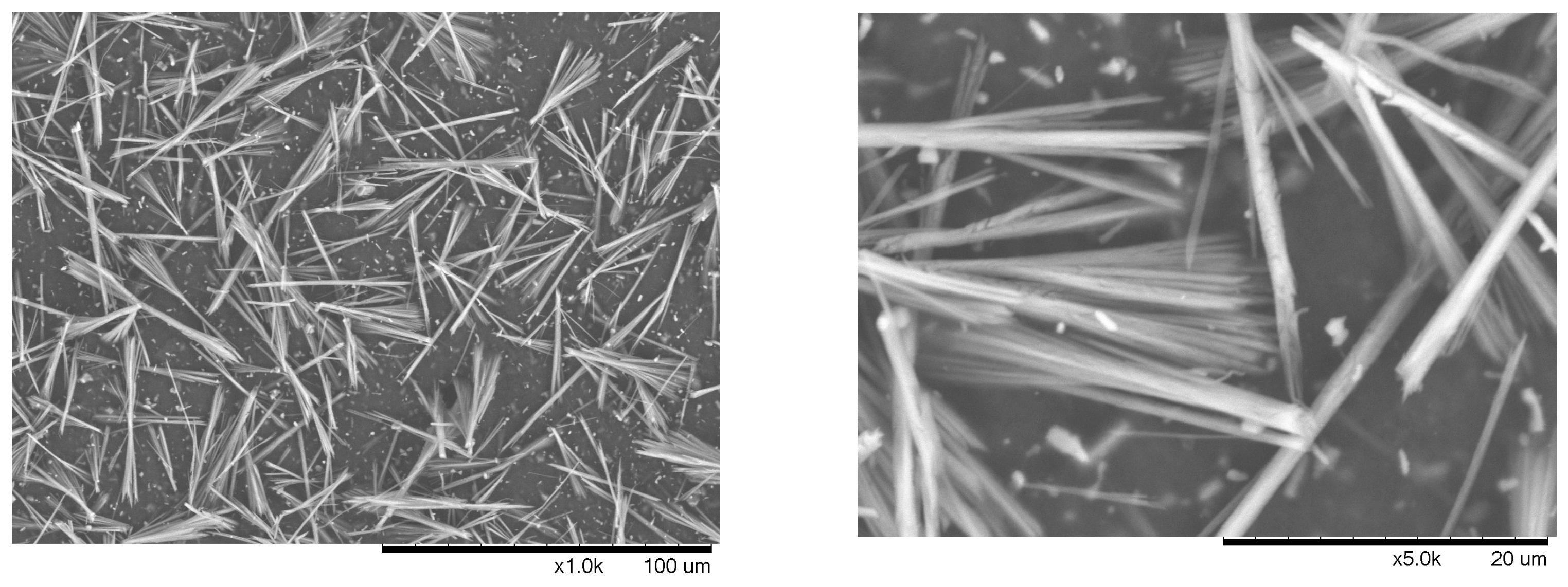 Suschem 05 00010 g008