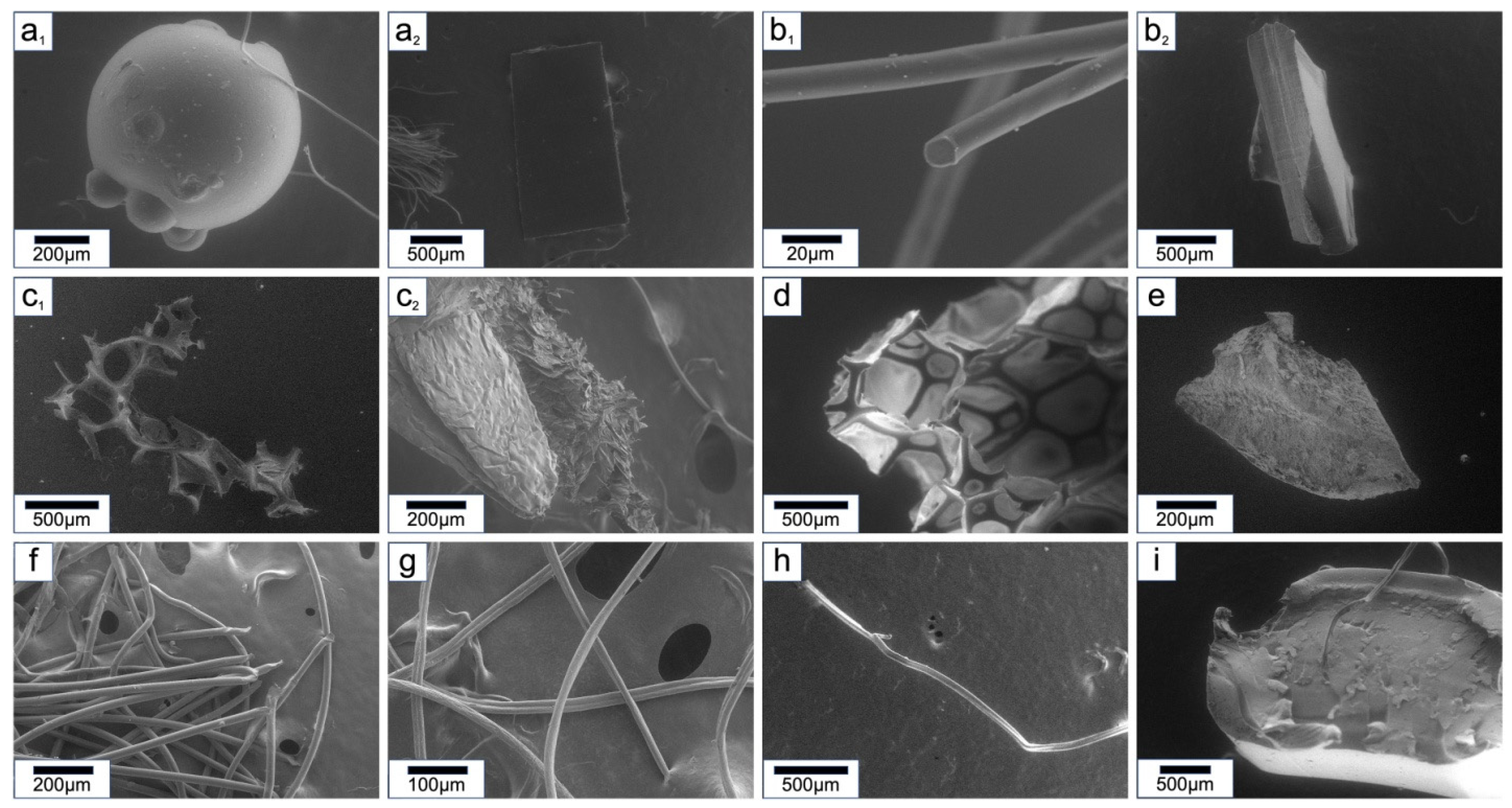 Suschem 05 00011 g001