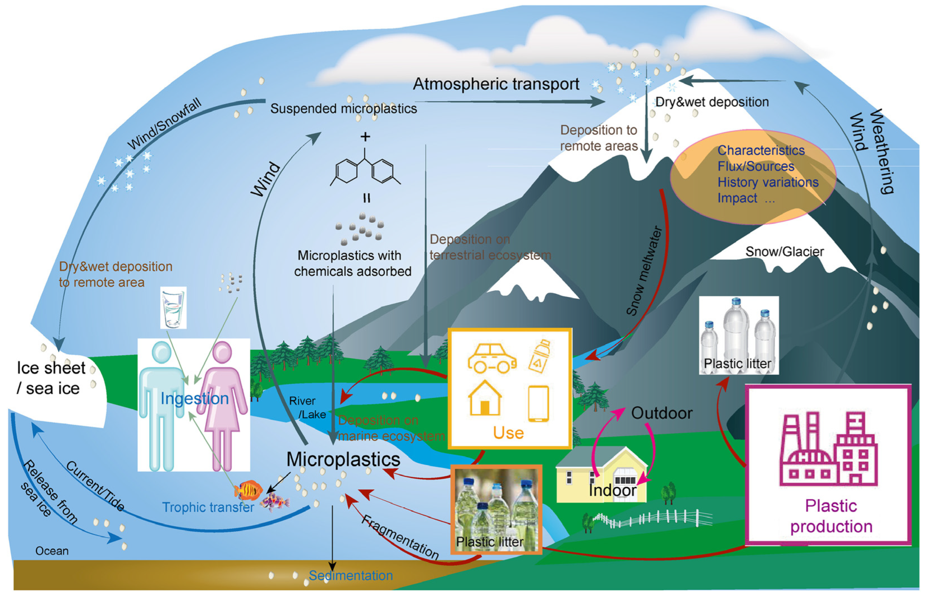 Suschem 05 00011 g002