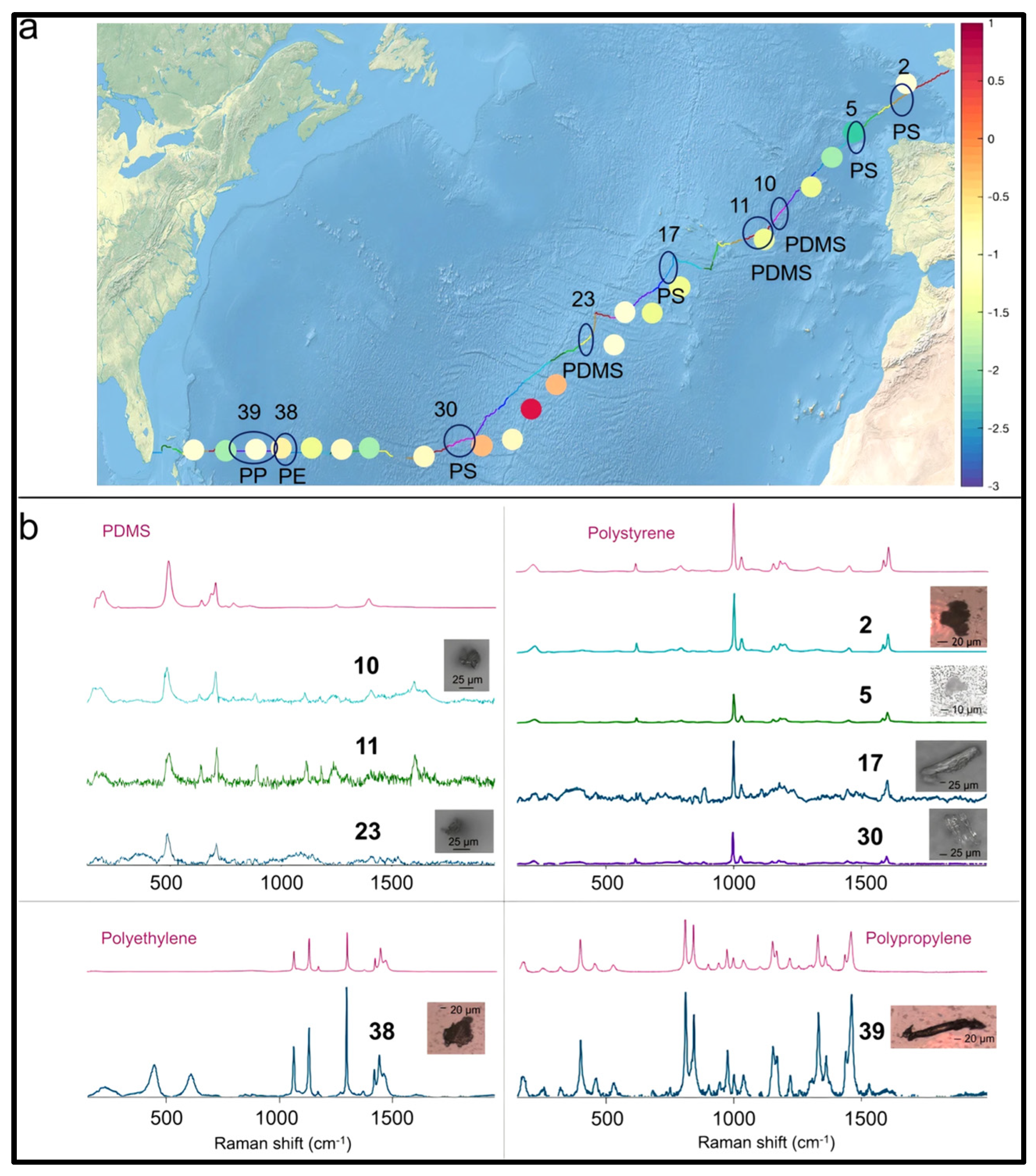 Suschem 05 00011 g004