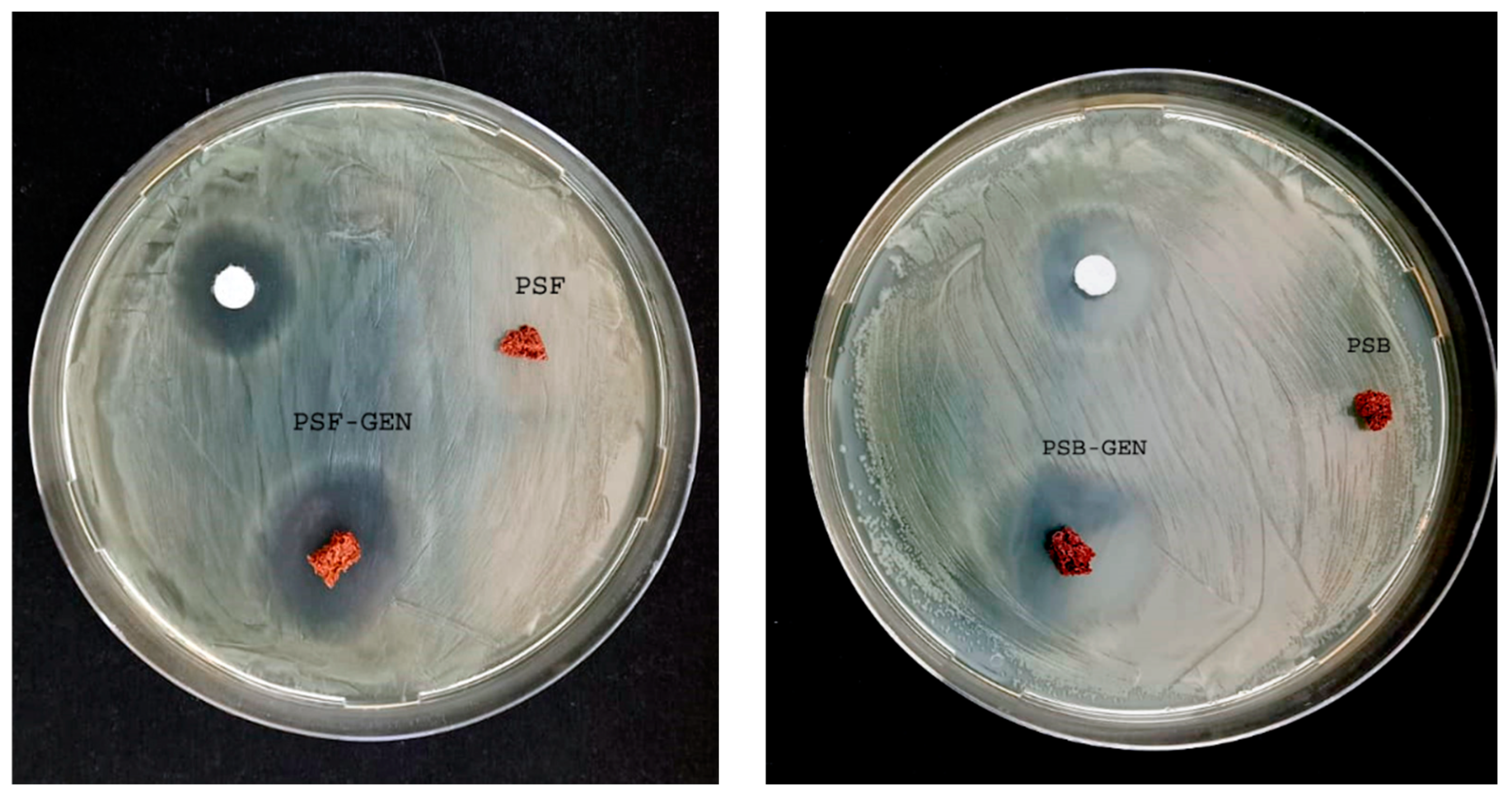 Suschem 05 00015 g004