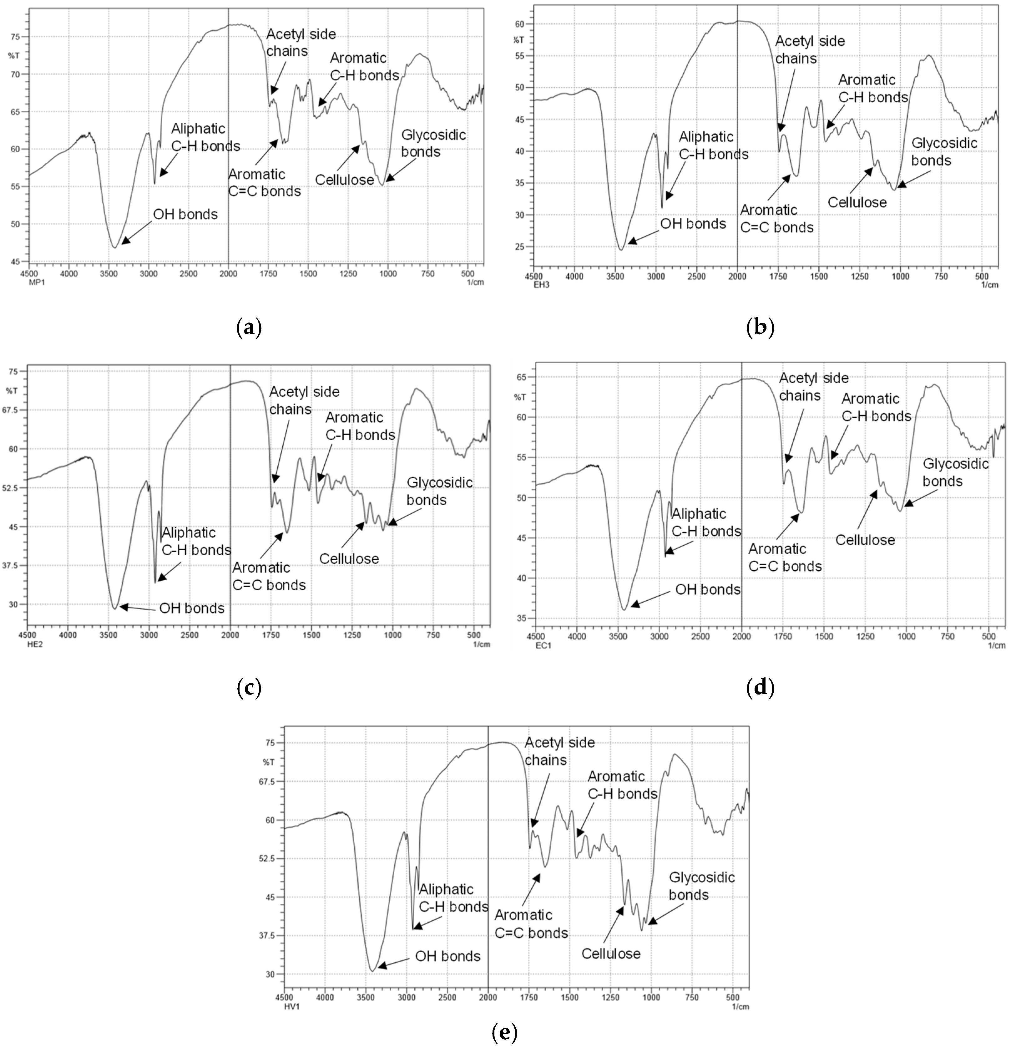 Suschem 05 00021 g005