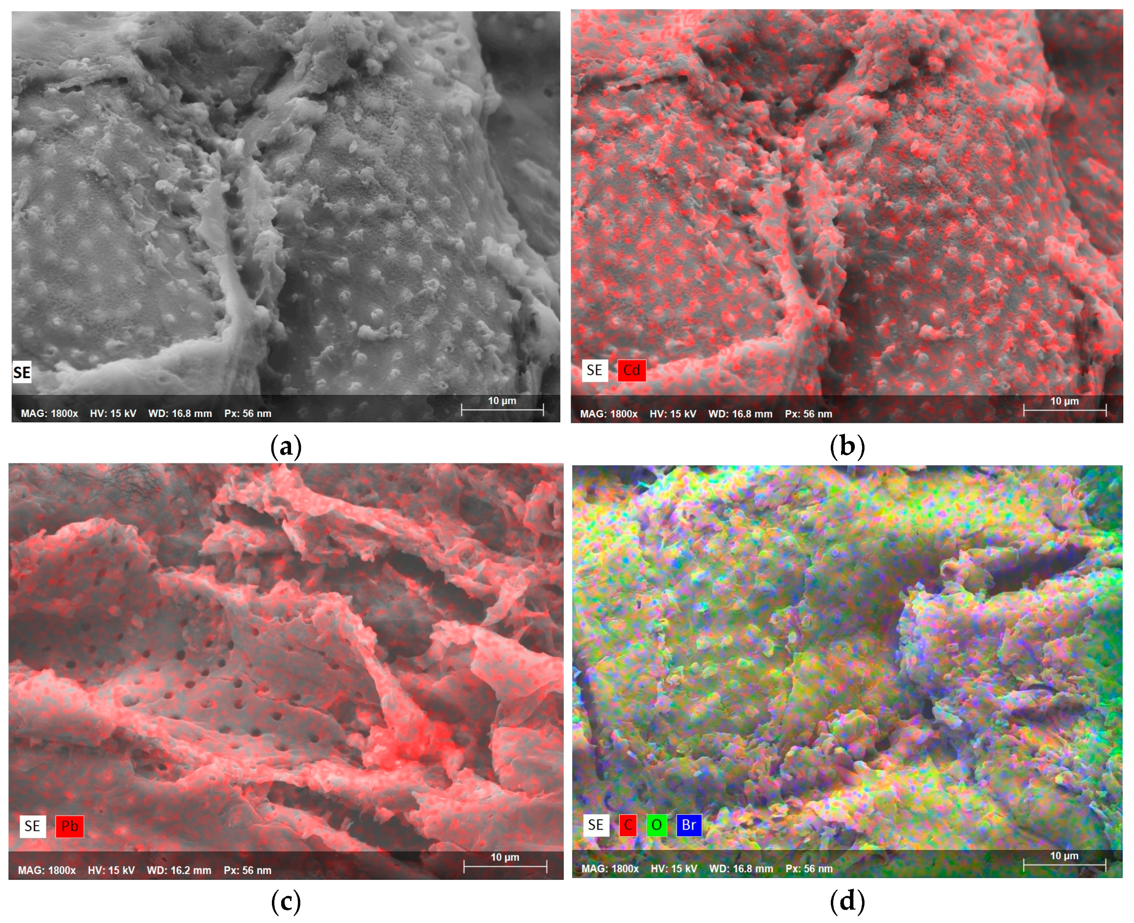 Suschem 06 00005 g005 Suschem 06 00005 g005