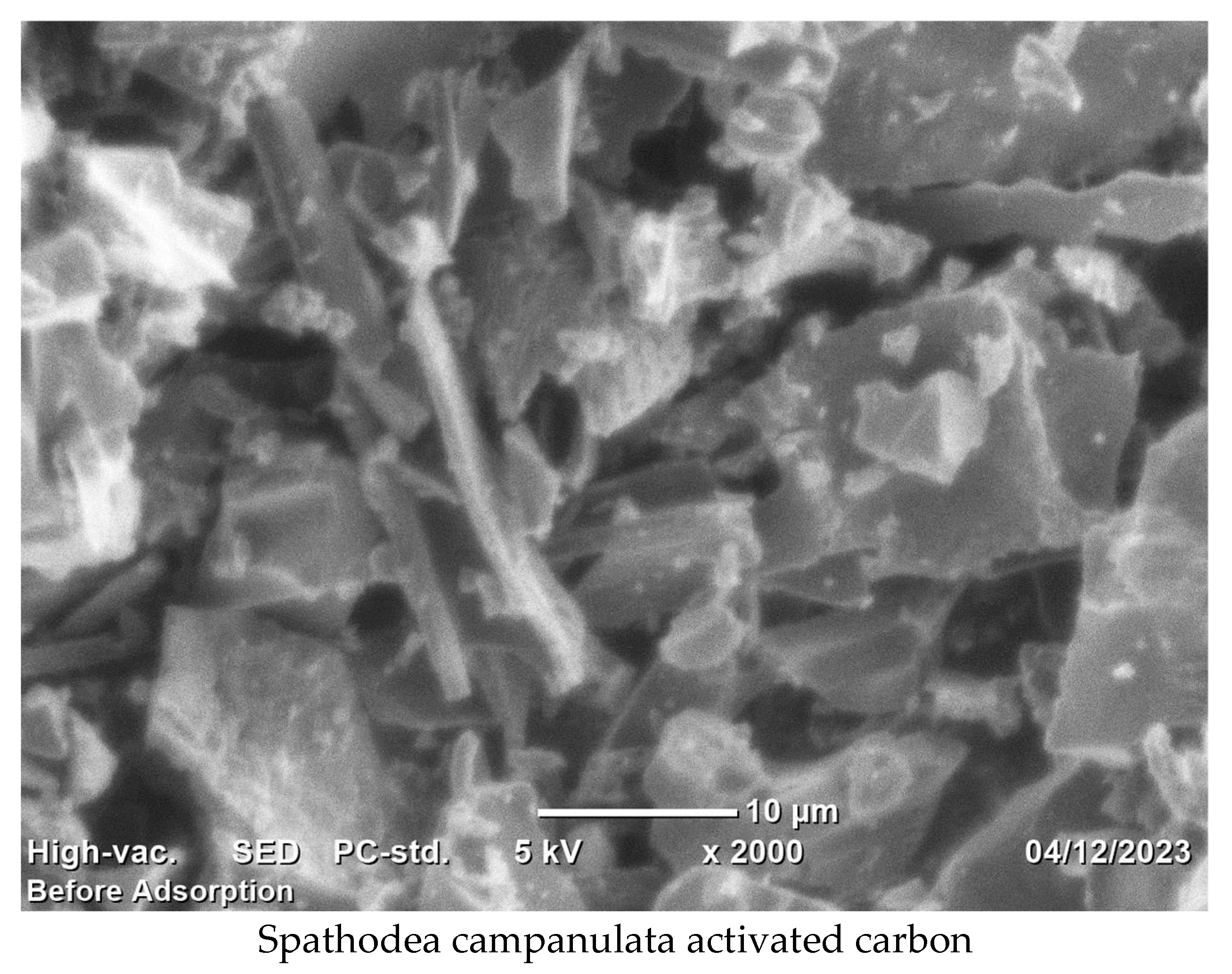 Suschem 06 00008 g003