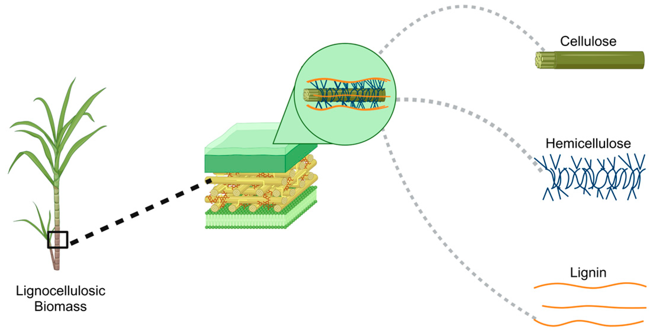 Suschem 06 00013 g001