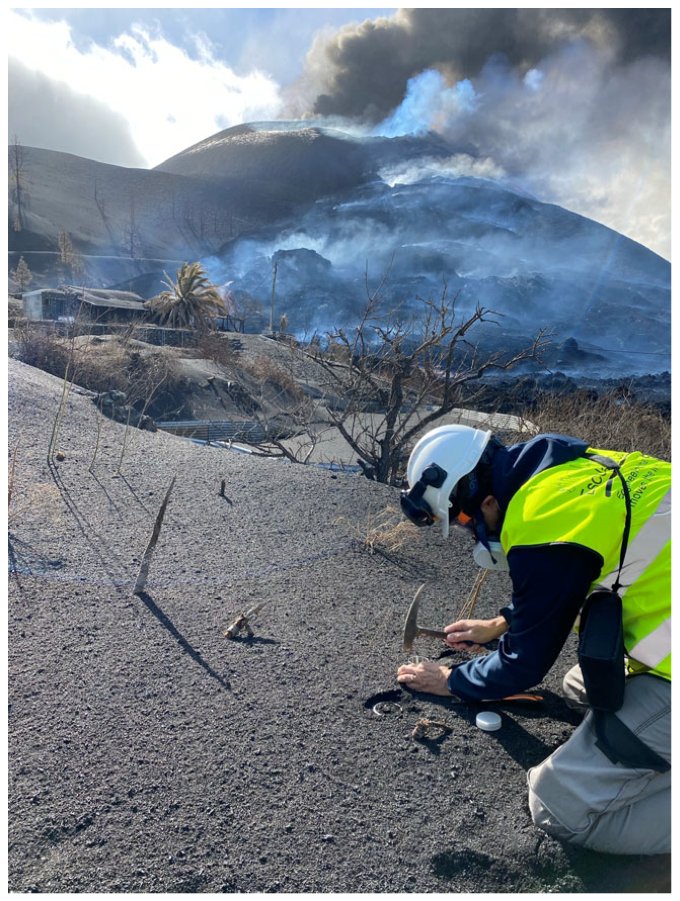 Suschem 06 00018 g003