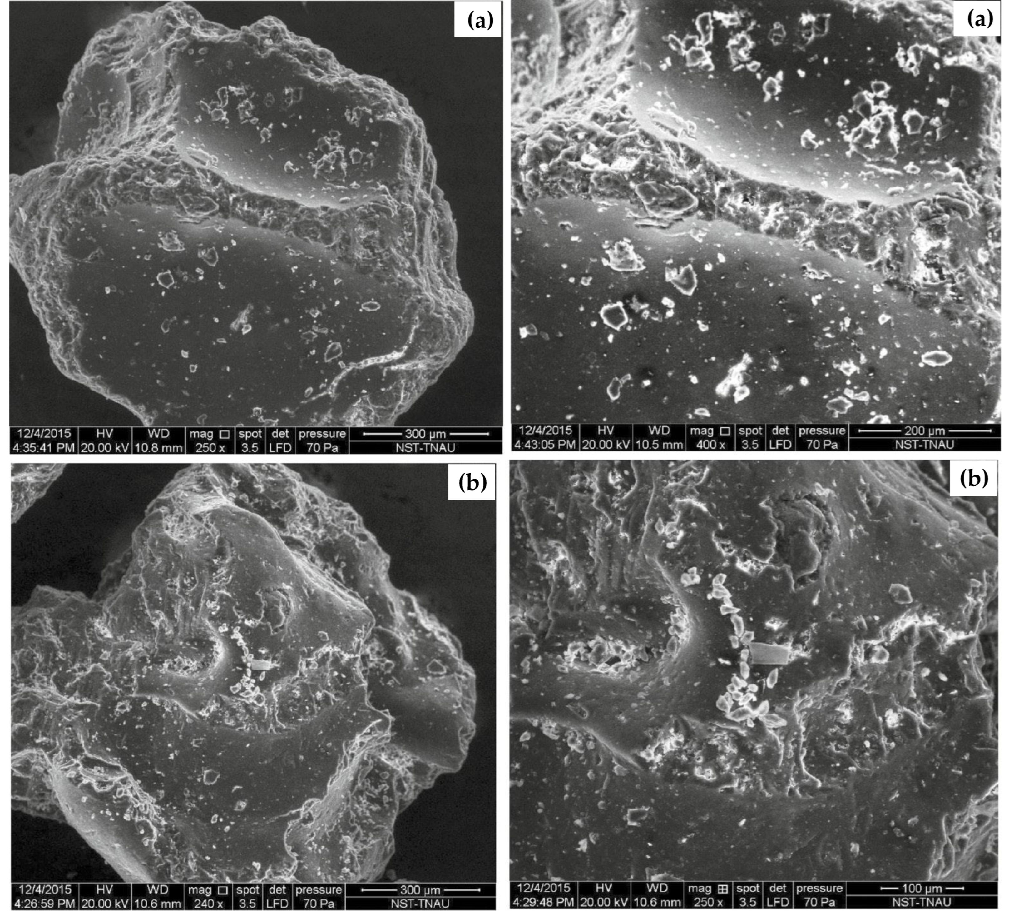 Suschem 06 00025 g002