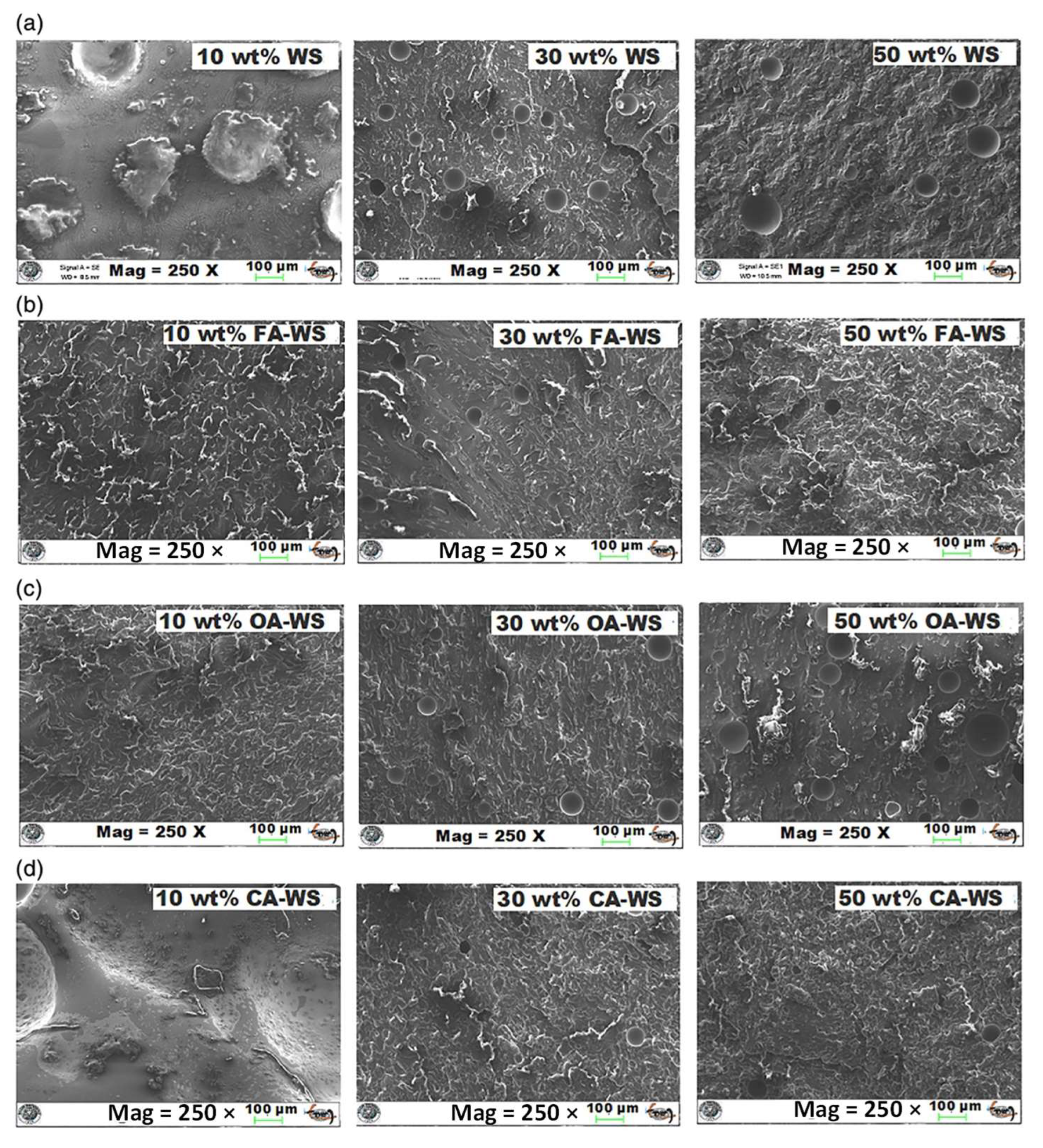 Suschem 06 00025 g005