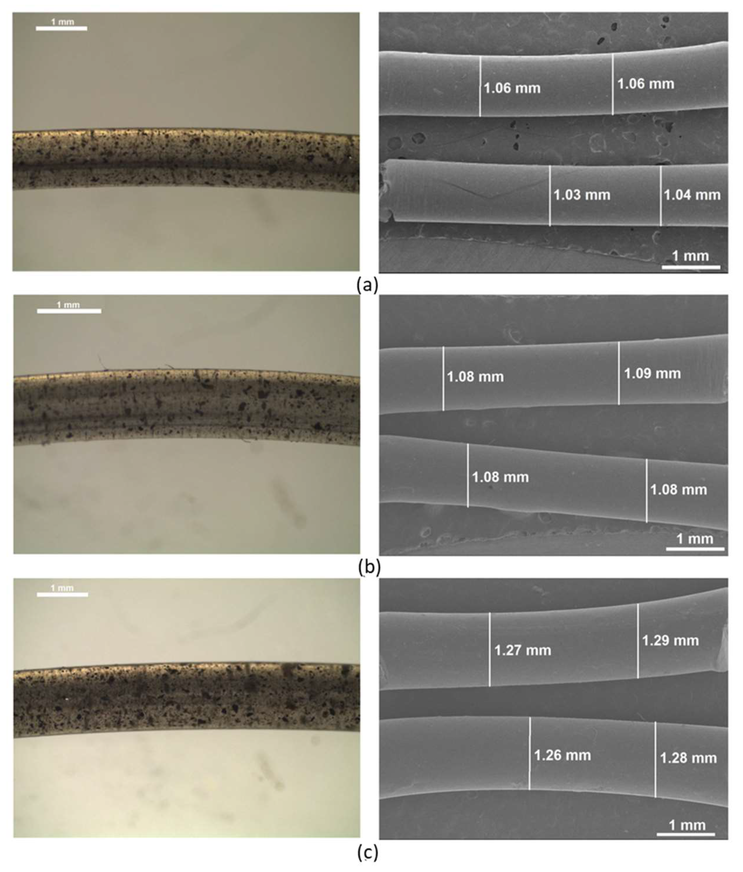 Suschem 06 00025 g016