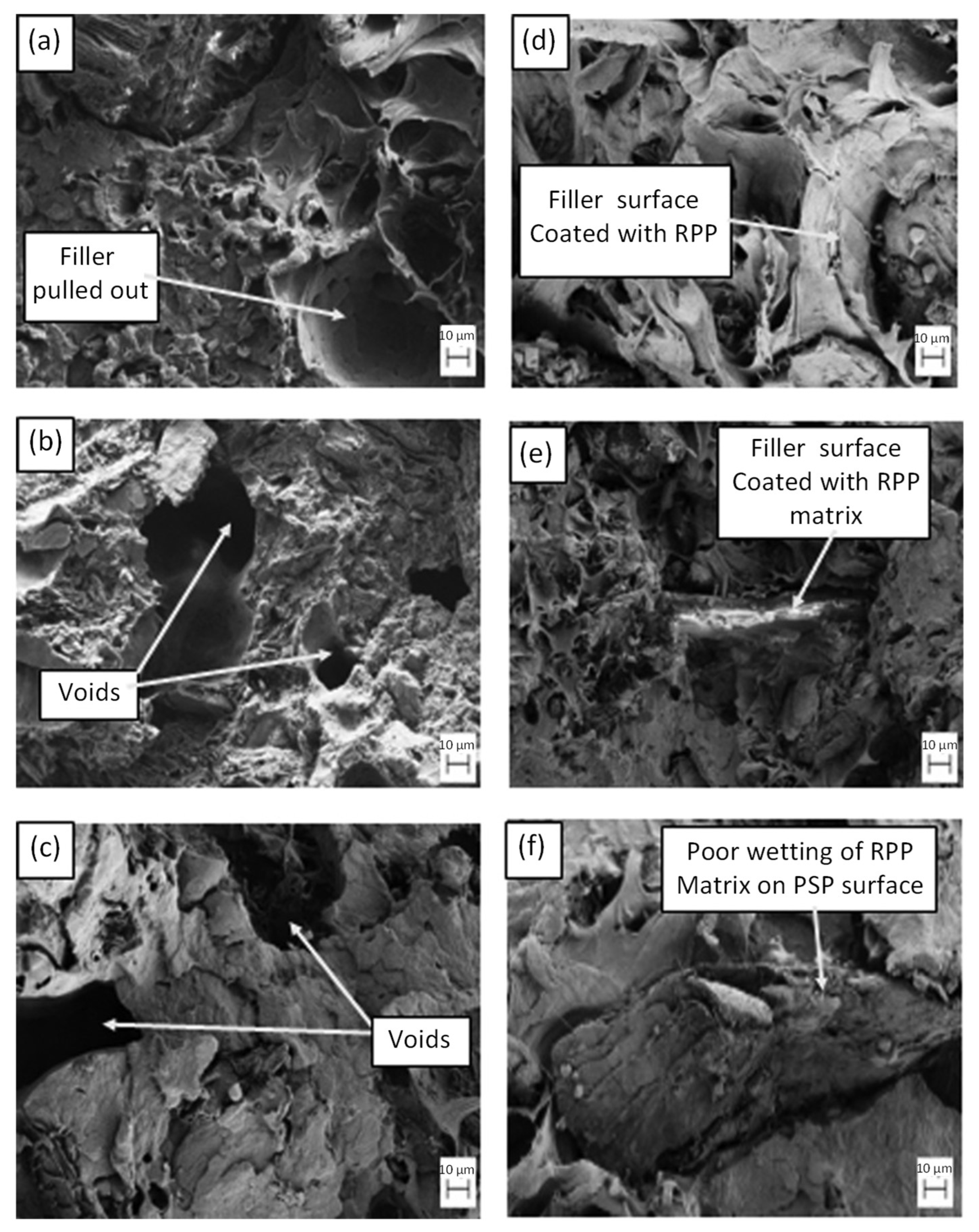 Suschem 06 00025 g019