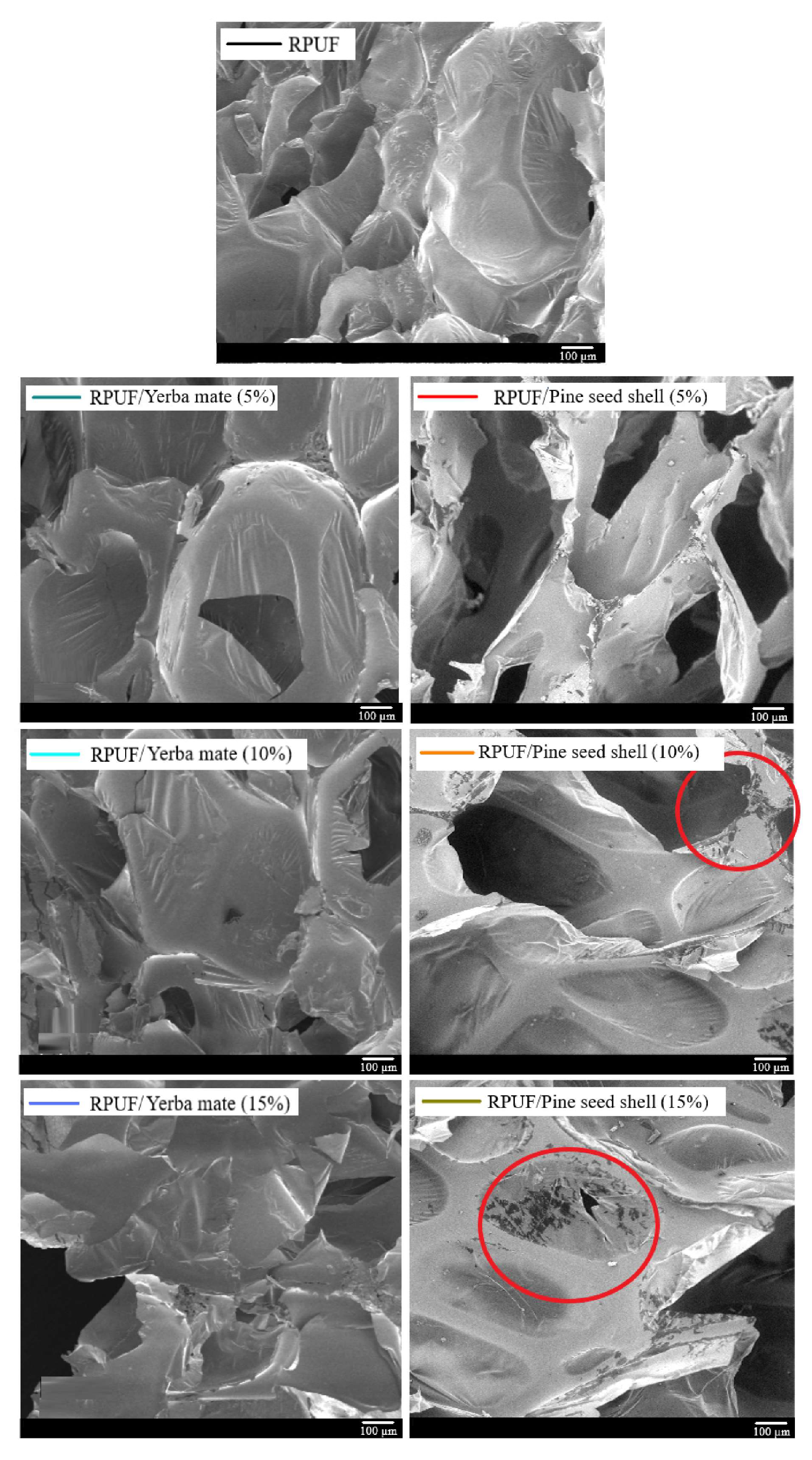 Suschem 06 00025 g023