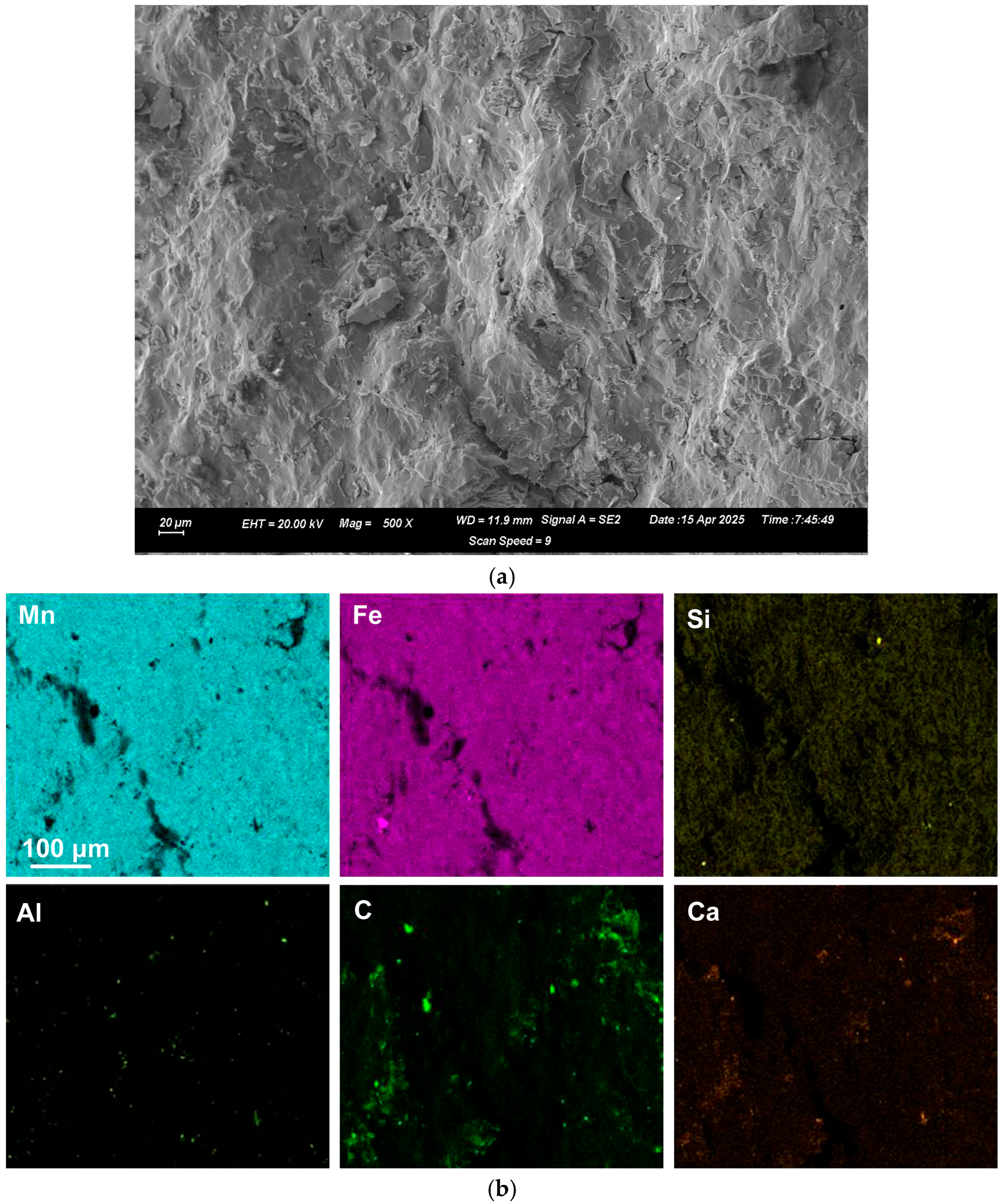 Suschem 06 00030 g002