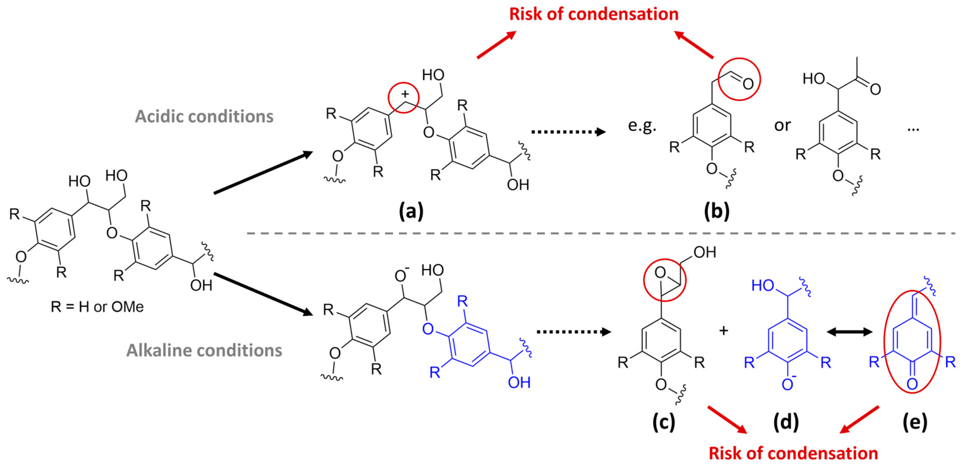 Suschem 06 00038 sch002 Suschem 06 00038 sch002