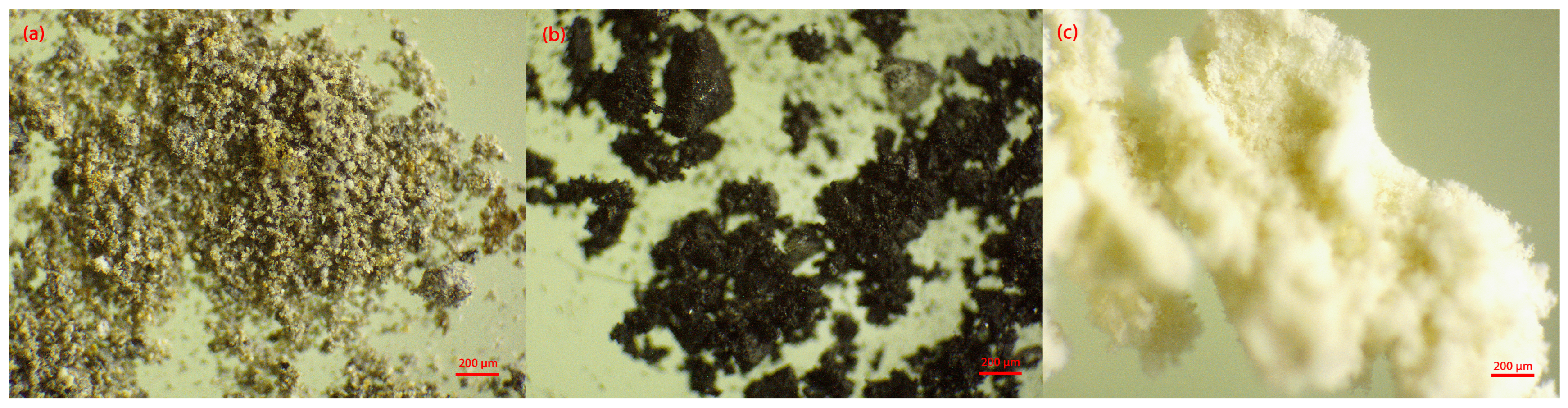 Suschem 06 00045 g002