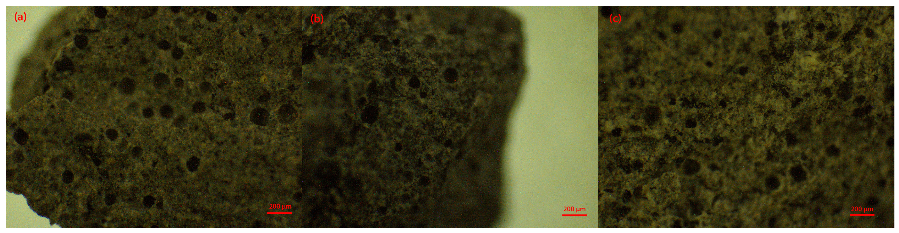 Suschem 06 00045 g005