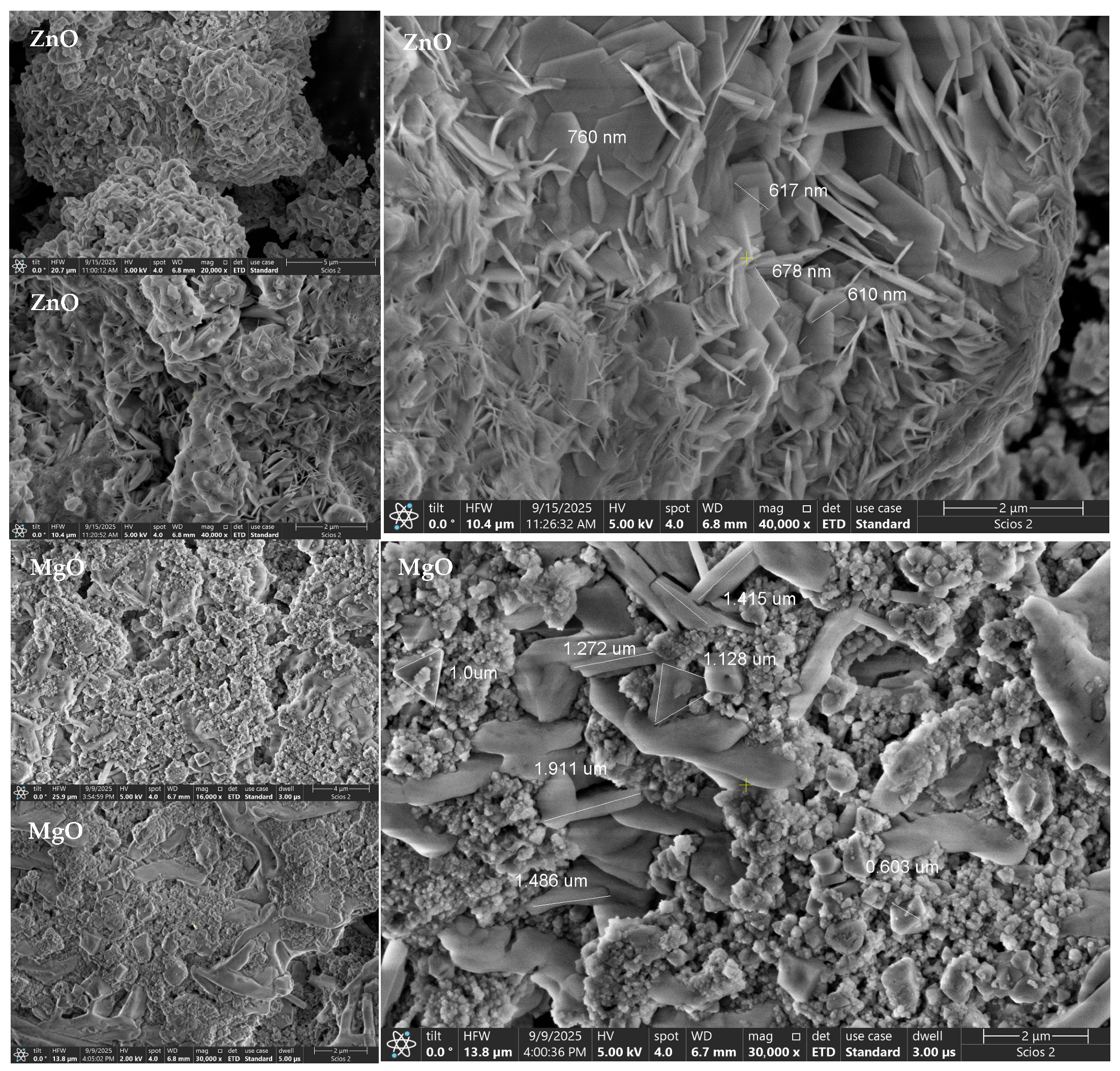 Suschem 07 00003 g003a