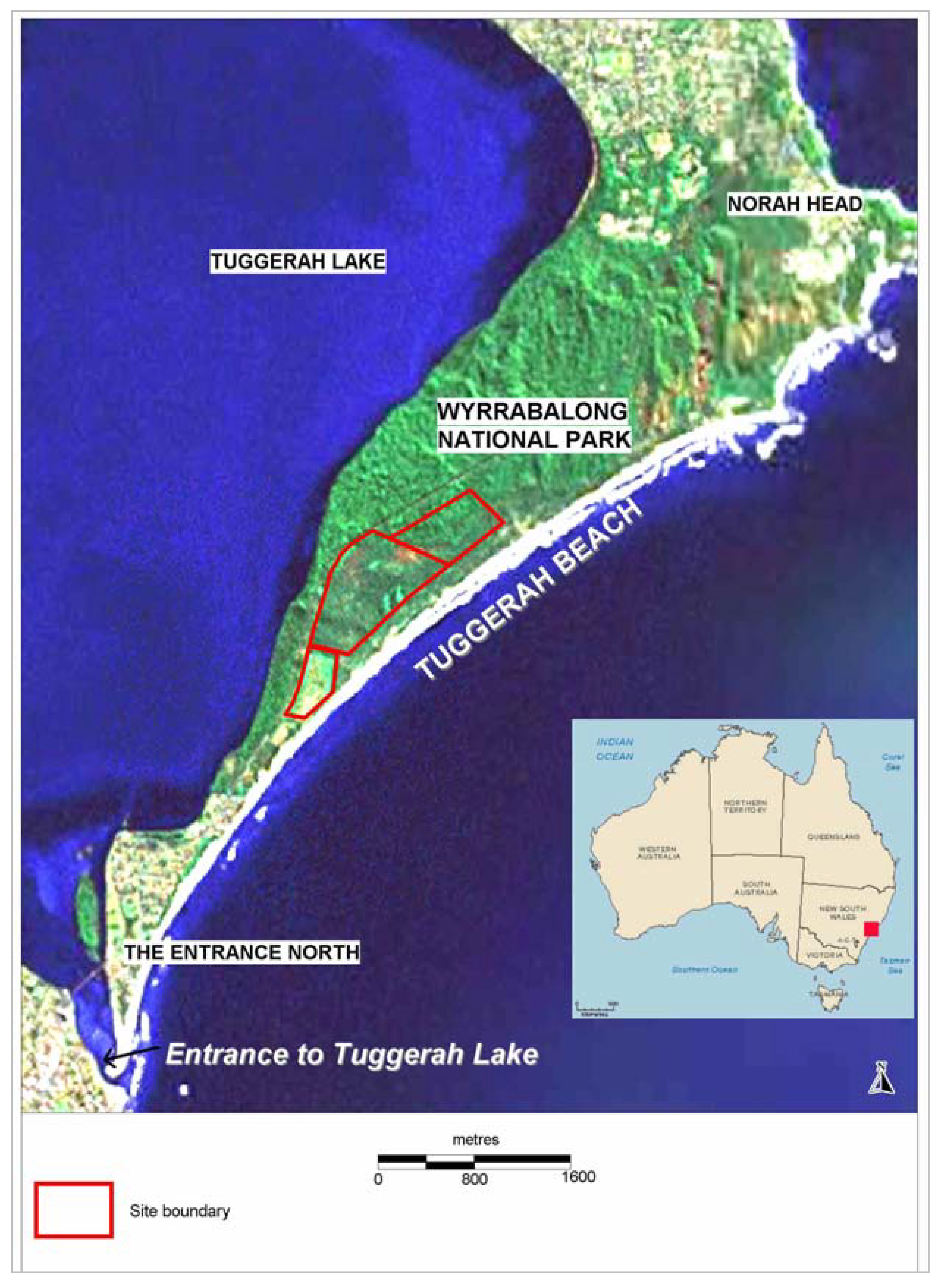 Sustainability 01 00319 g001 1024