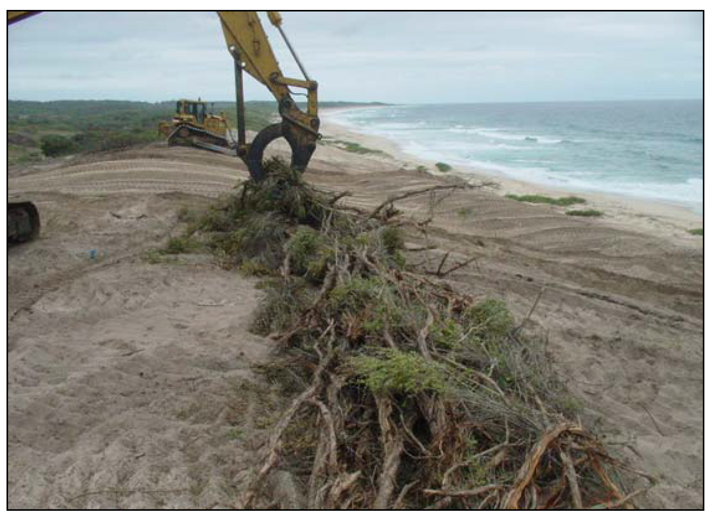 Sustainability 01 00319 g007 1024