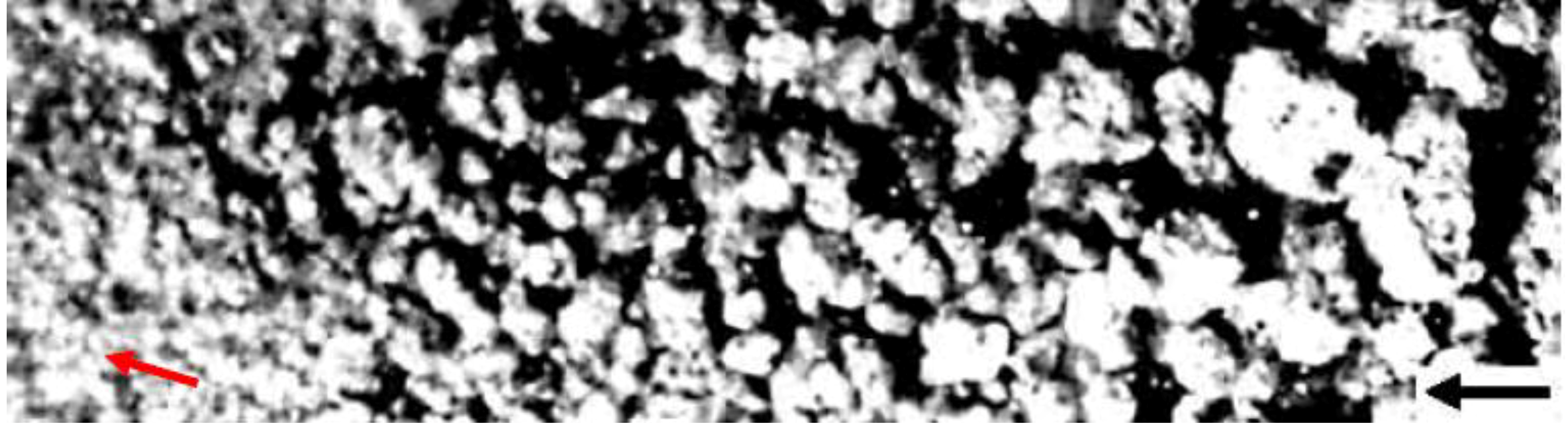 Sustainability 01 00855 g017