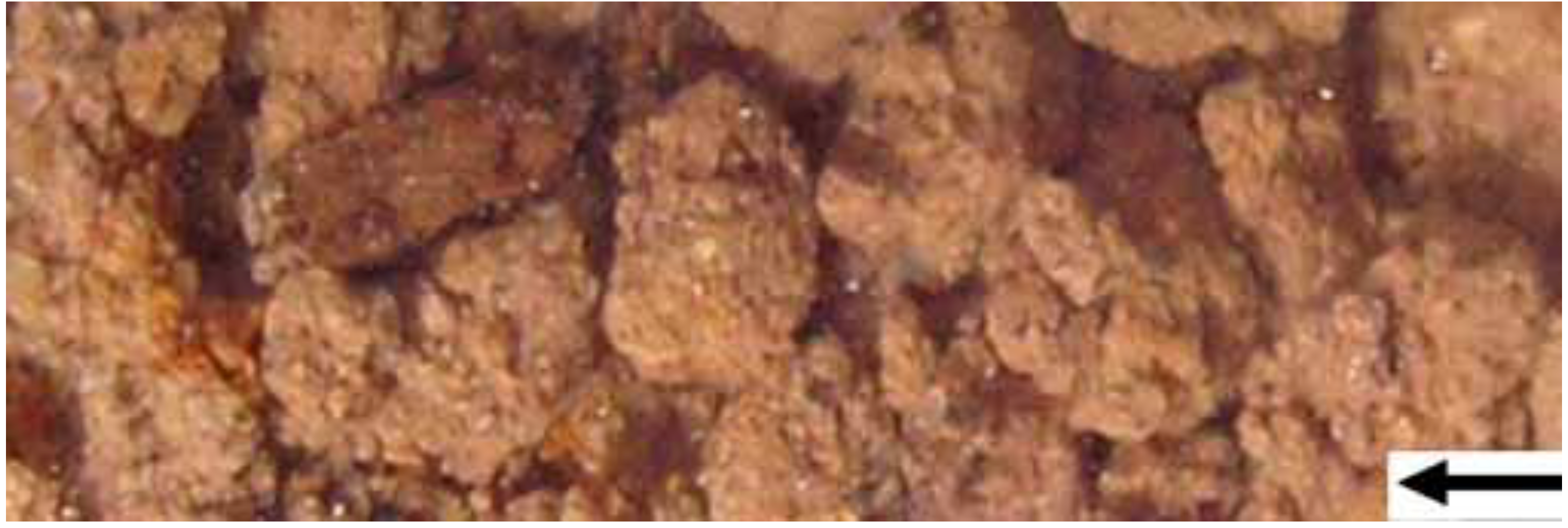 Sustainability 01 00855 g028