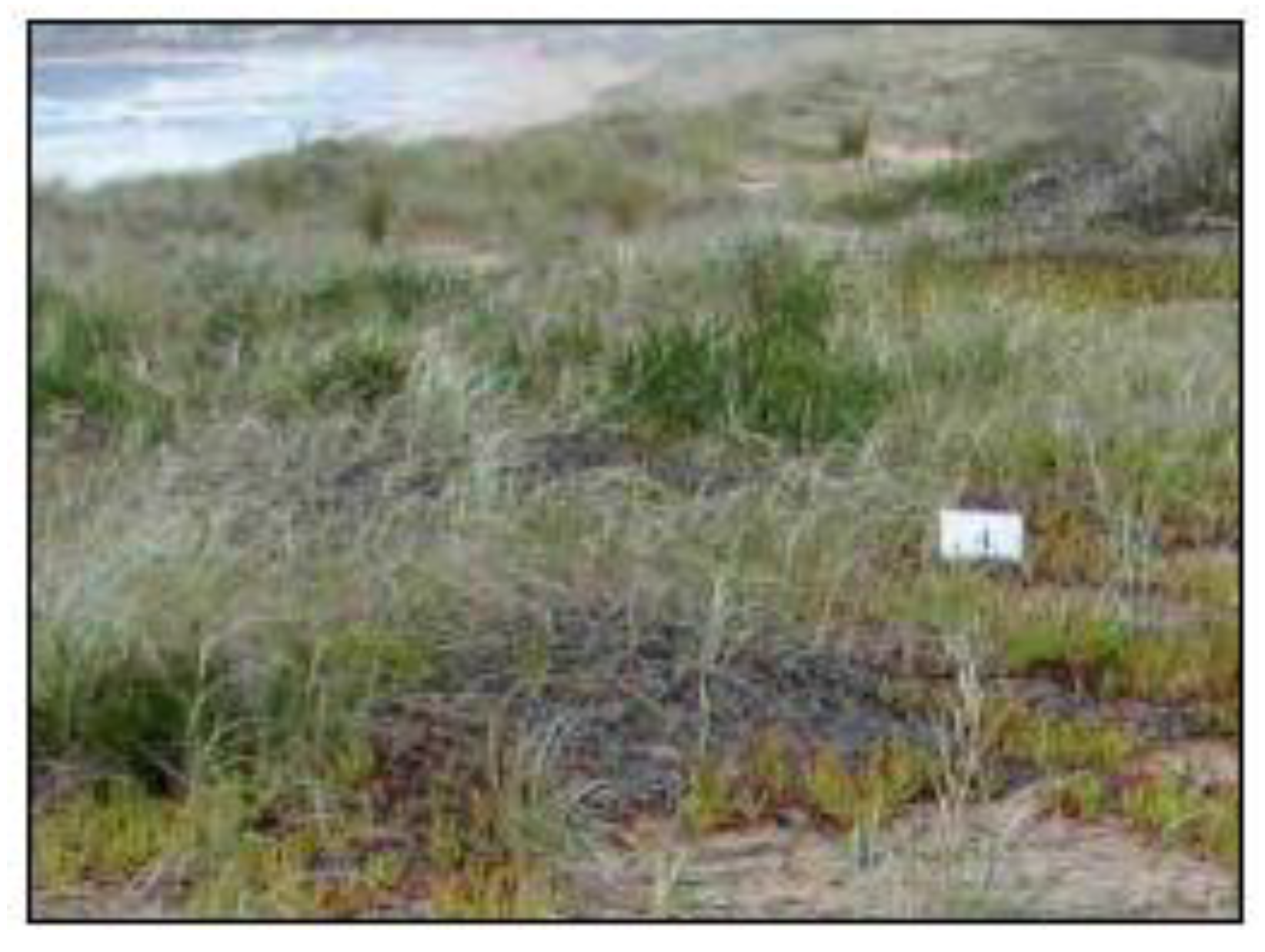 Sustainability 02 00717 g014