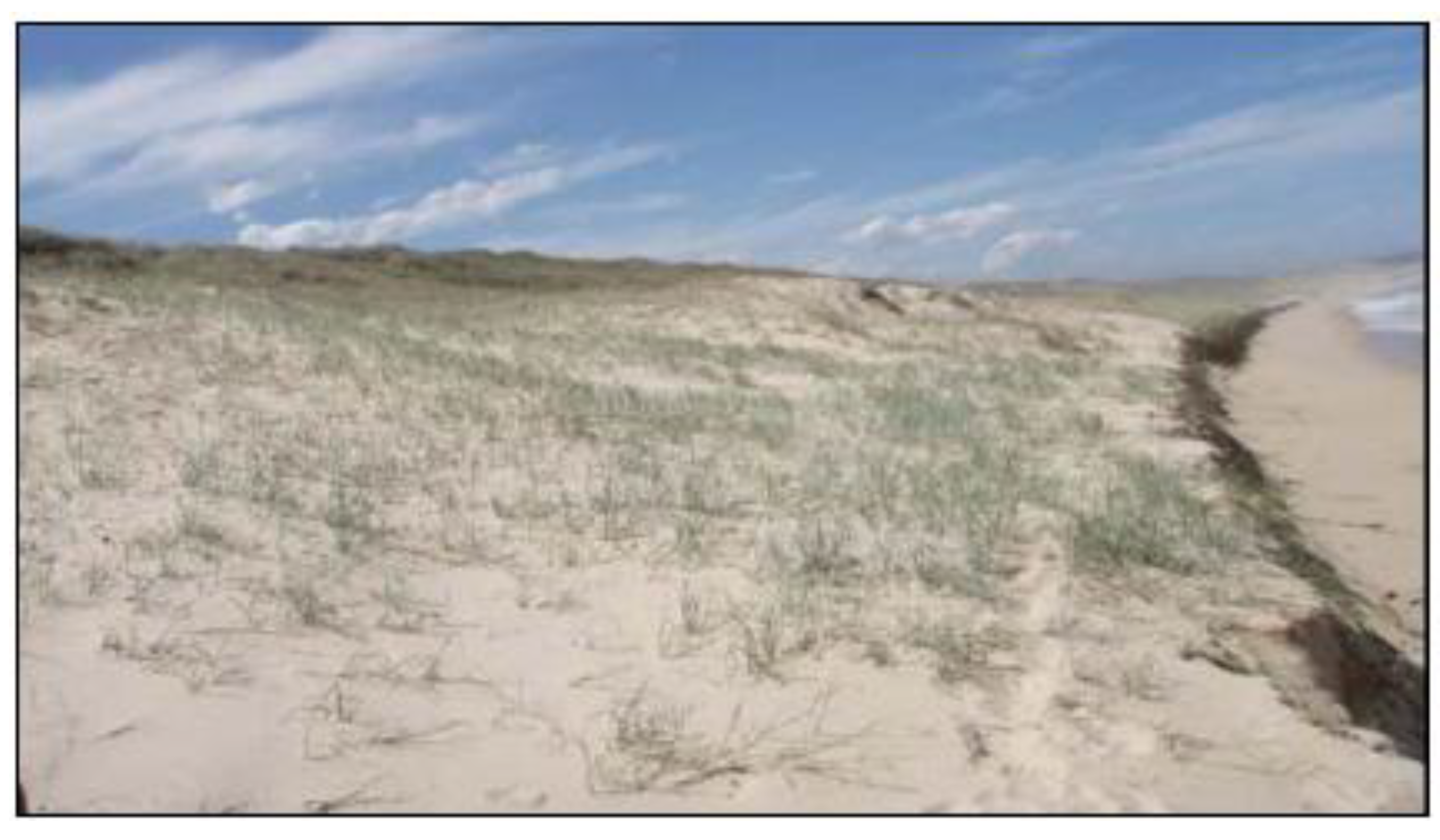 Sustainability 02 00717 g027