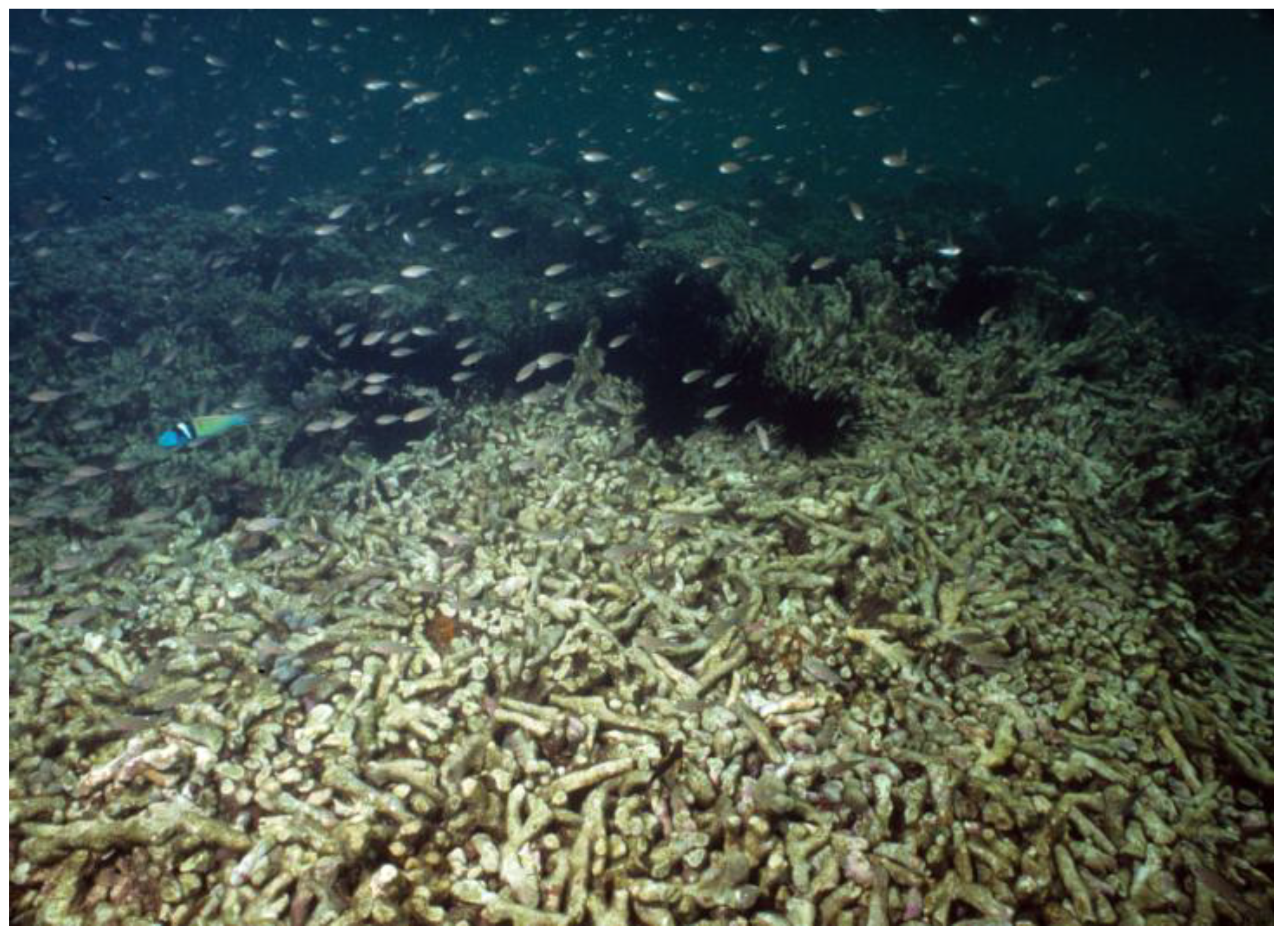 Sustainability 02 02919 g003 1024