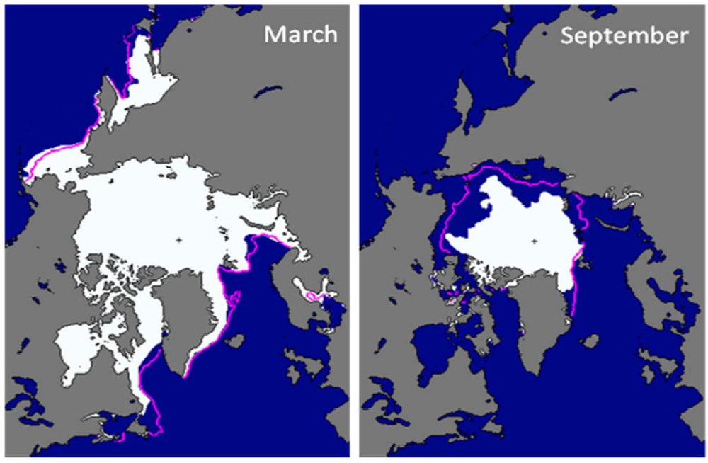 Sustainability 03 01416f4 1024