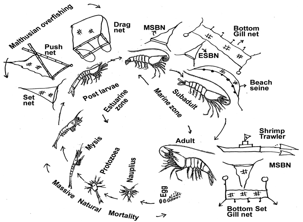 Sustainability 03 02500f2 1024