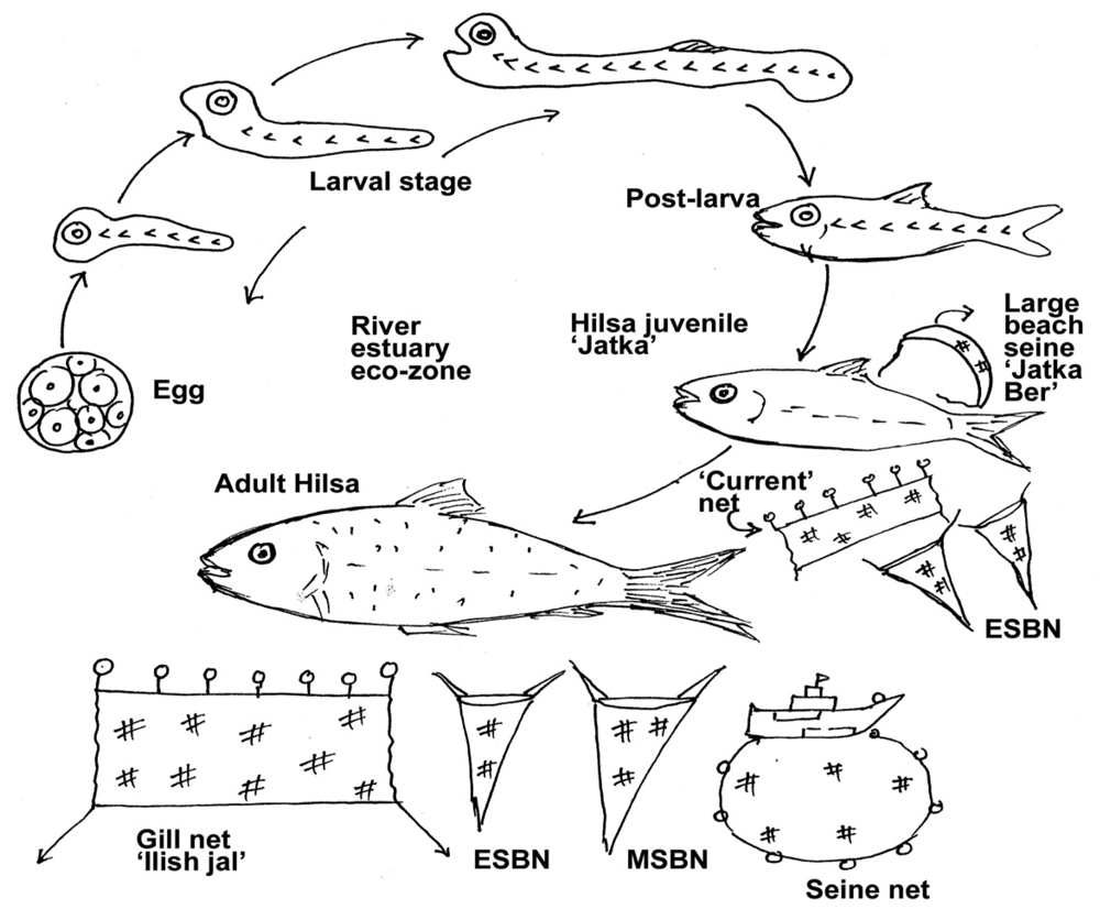 Sustainability 03 02500f3 1024