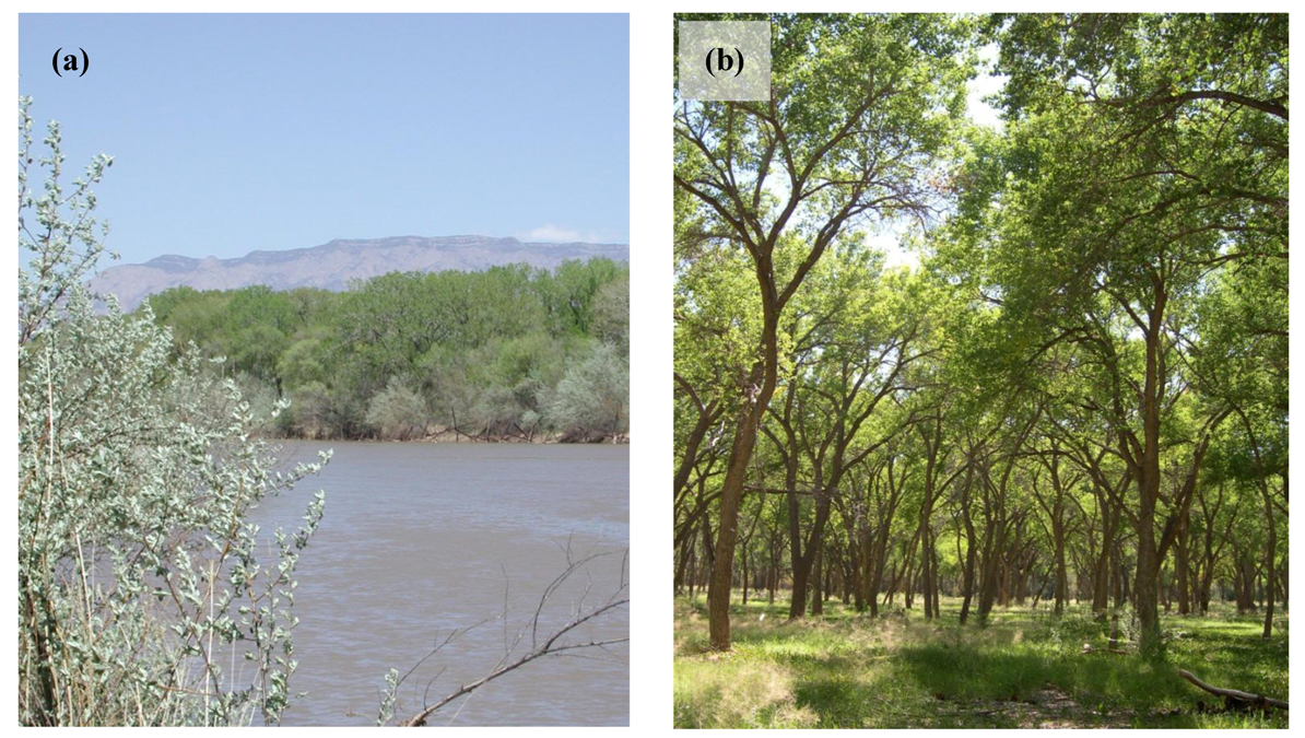 Sustainability 04 02334 g001