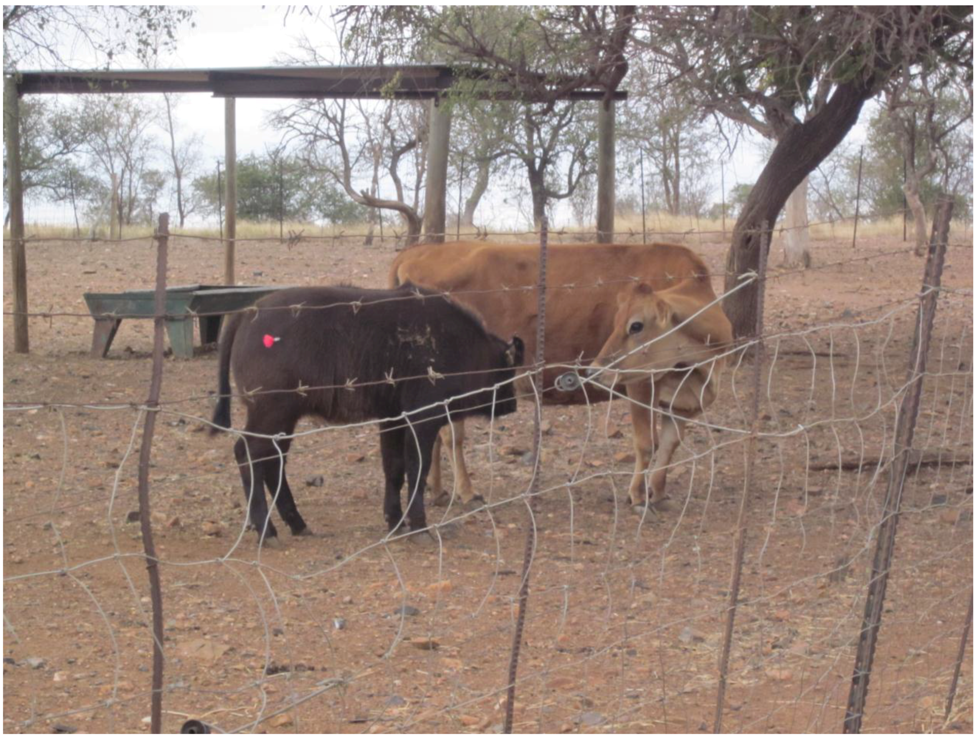 Sustainability 04 03124 g002 1024