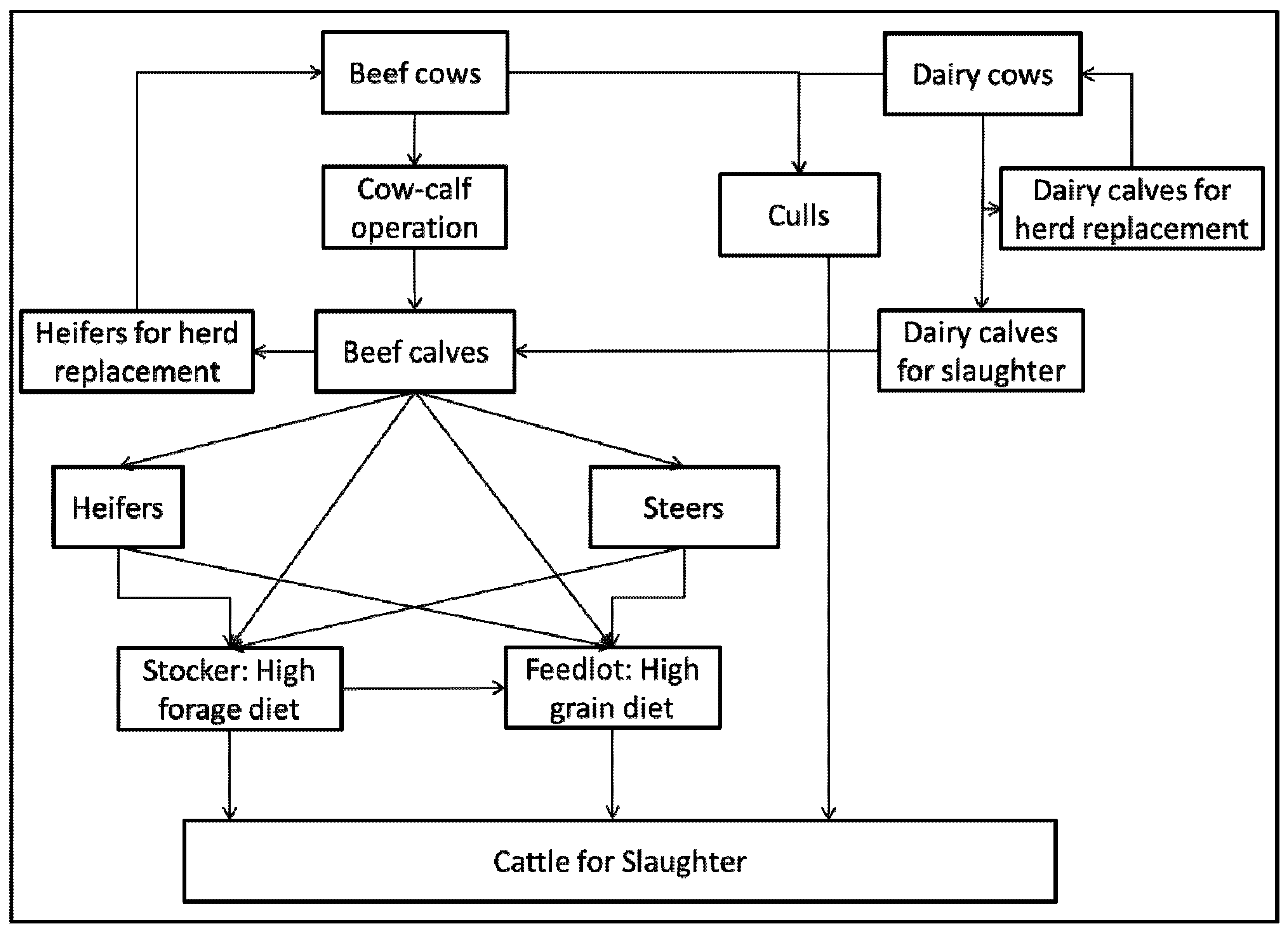 Astro Codex Natal Chart