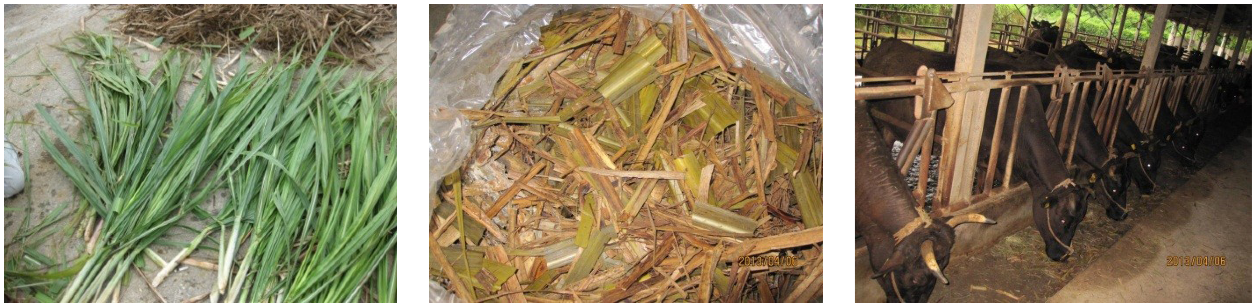 Sustainability 06 00812 g011 1024