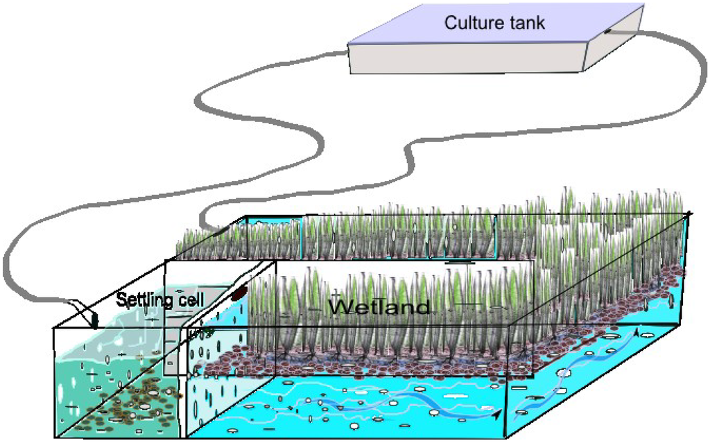 Sustainability Free FullText Sustainable Treatment of Aquaculture Effluents—What Can We