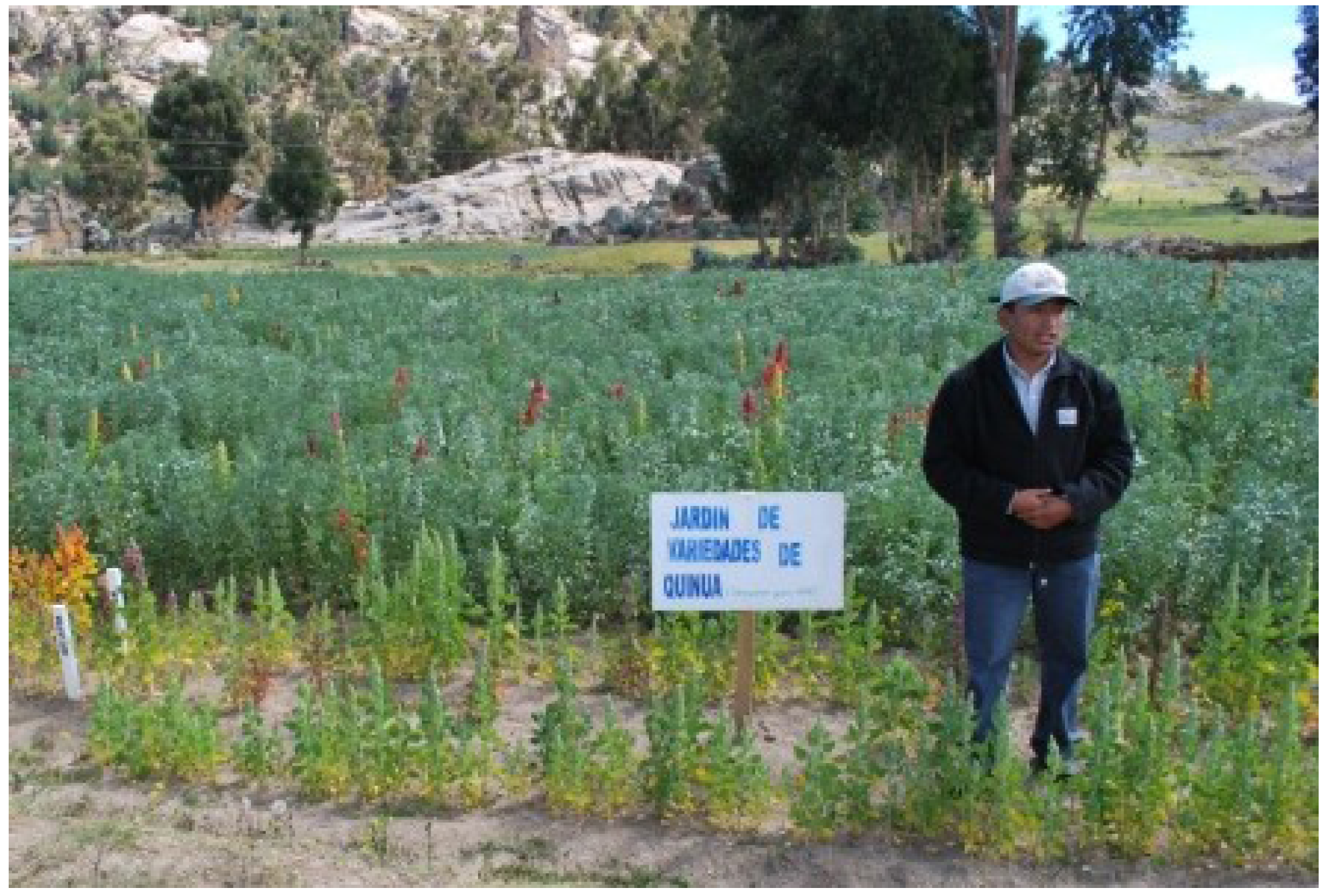 Sustainability 06 01283 g002