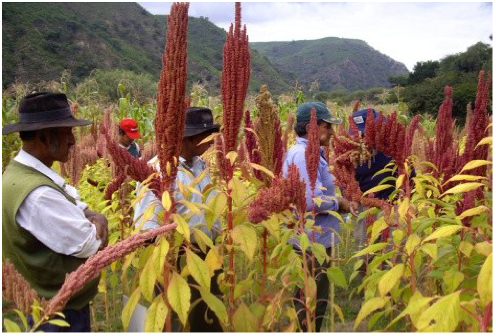 Sustainability 06 01283 g003