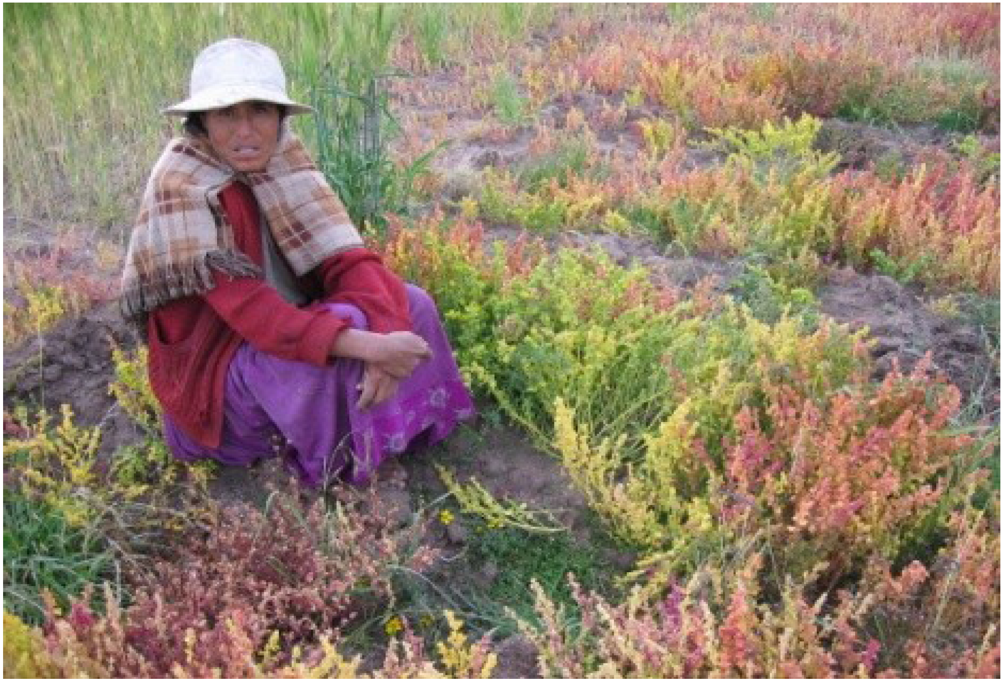 Sustainability 06 01283 g004