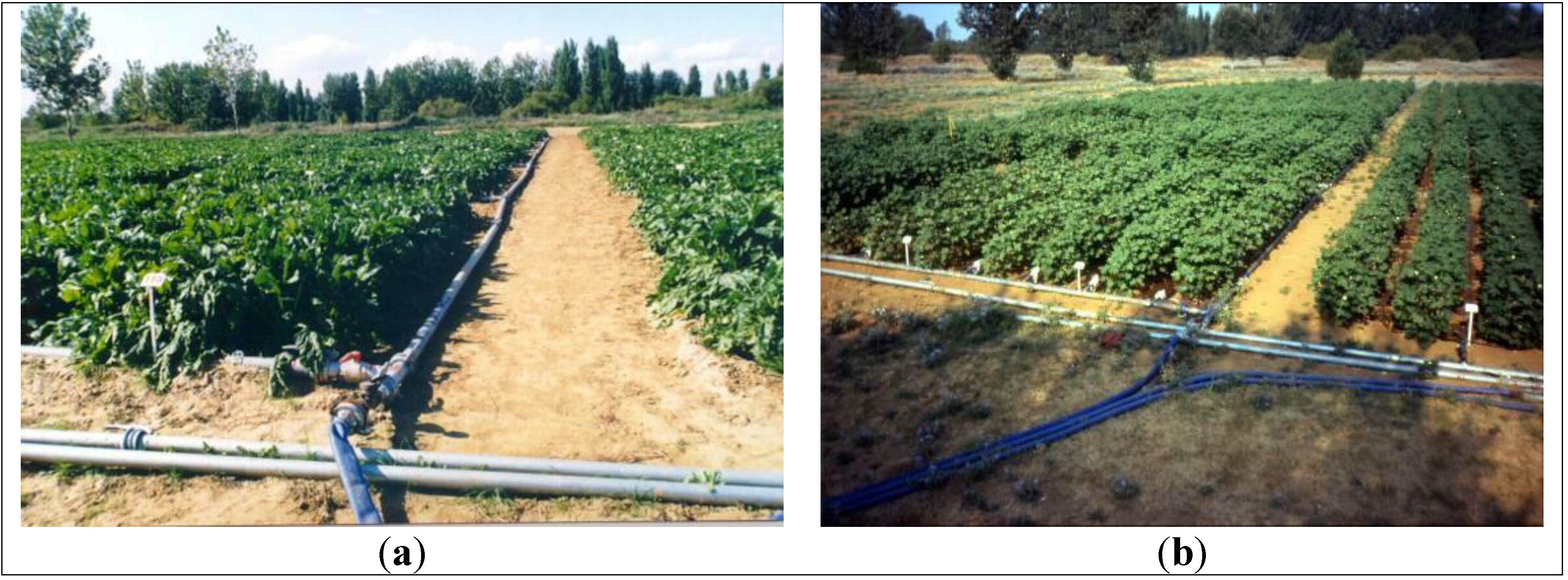 Sustainability 06 02876 g002 1024