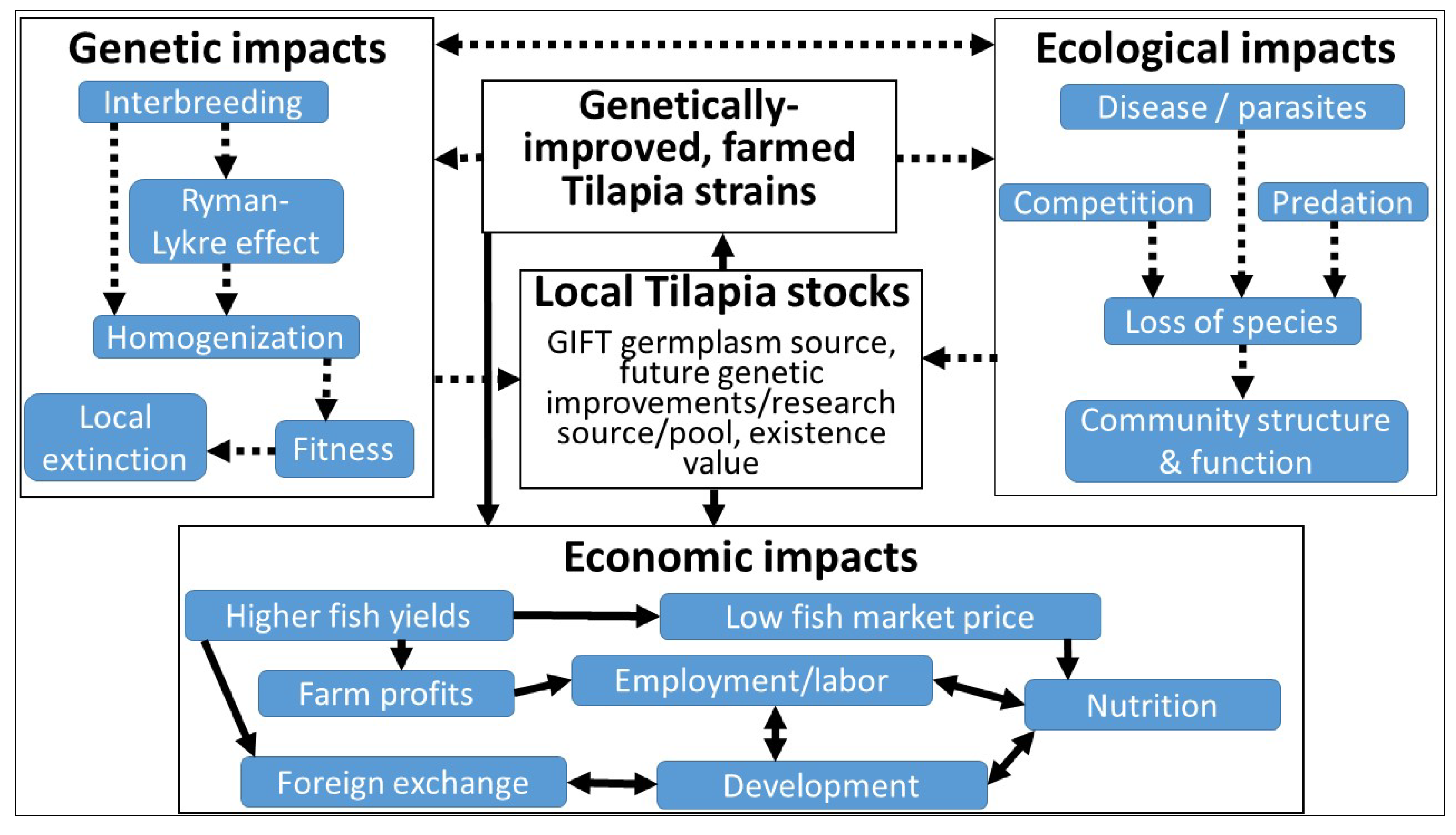 [Commentary] Tilapia: How an invasive fish came to dominate our ecology,  food and psyche