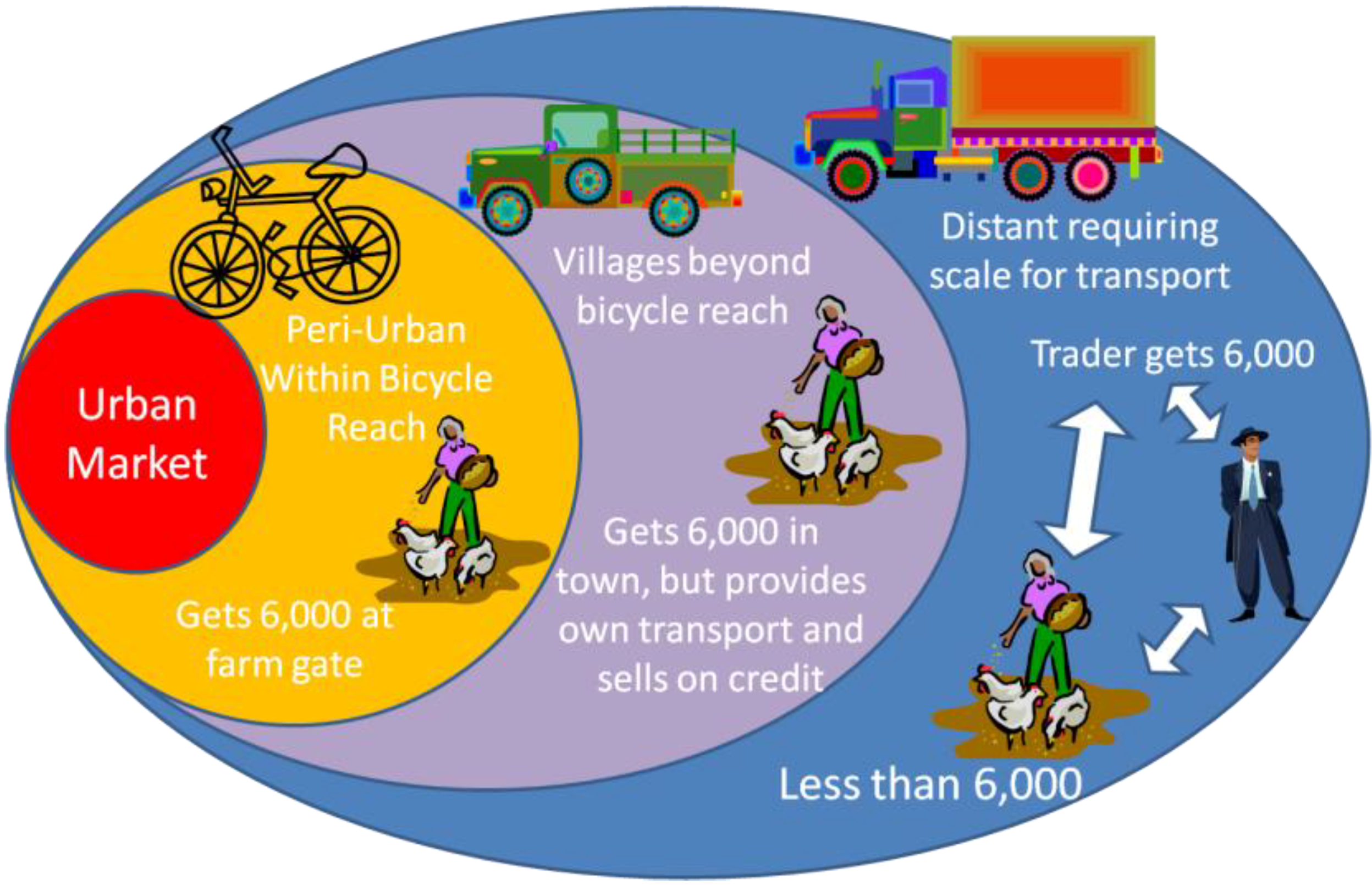 Sustainability | Free Full-Text | Exploring Sustainable Urban Food ...